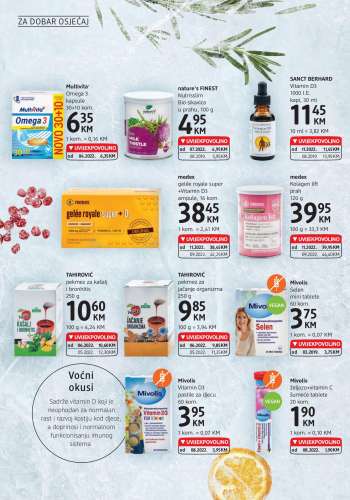 {store} katalog