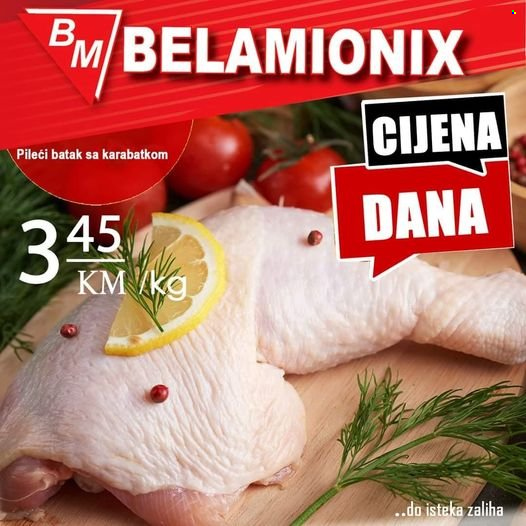 Belamionix katalog. Stranica 1