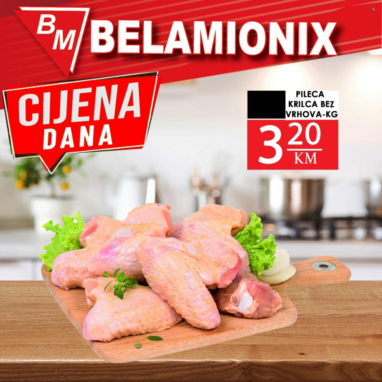 Belamionix katalog. Stranica 2