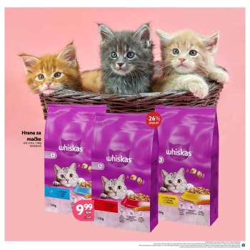 {store} katalog