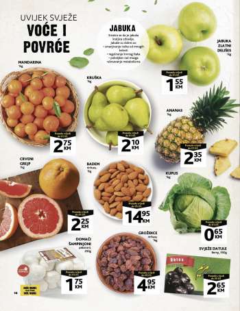{store} katalog