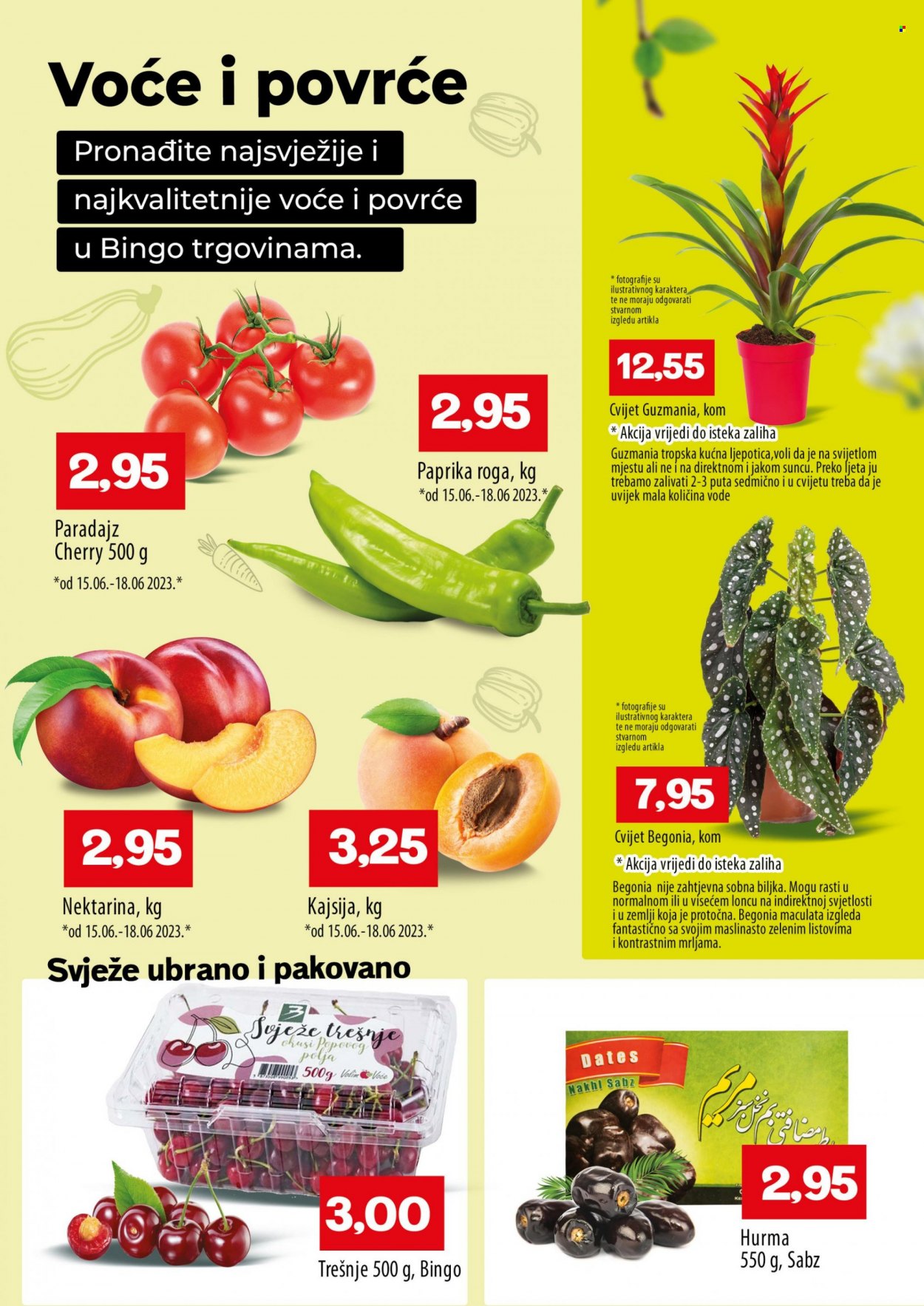 Bingo katalog - 13.06.2023. - 25.06.2023.. Stranica 5