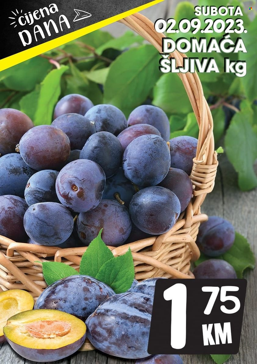 Prodex katalog - 02.09.2023. - 02.09.2023.. Stranica 1