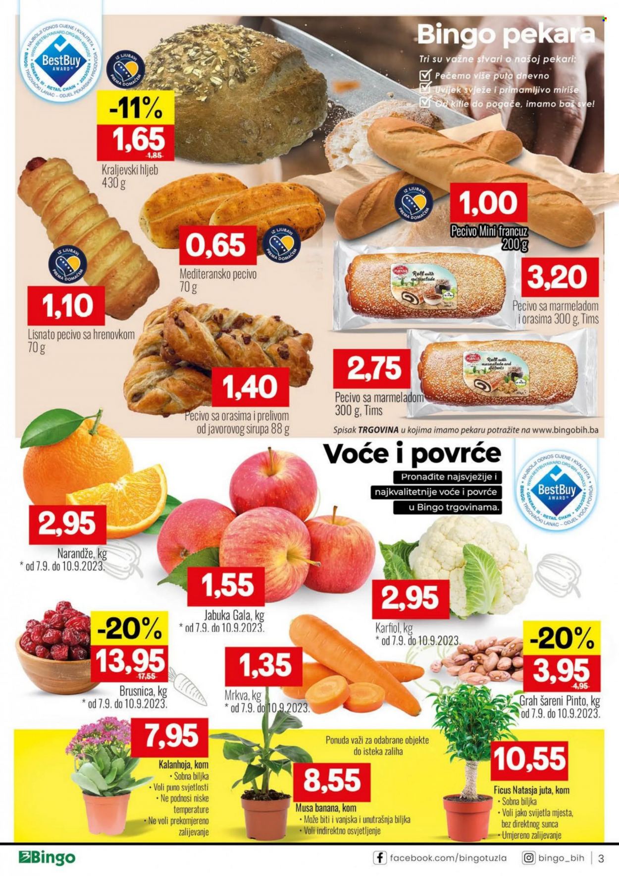 Bingo katalog - 05.09.2023. - 17.09.2023.. Stranica 3