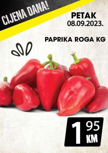 Prodex katalog - 08.09.2023. - 08.09.2023.
