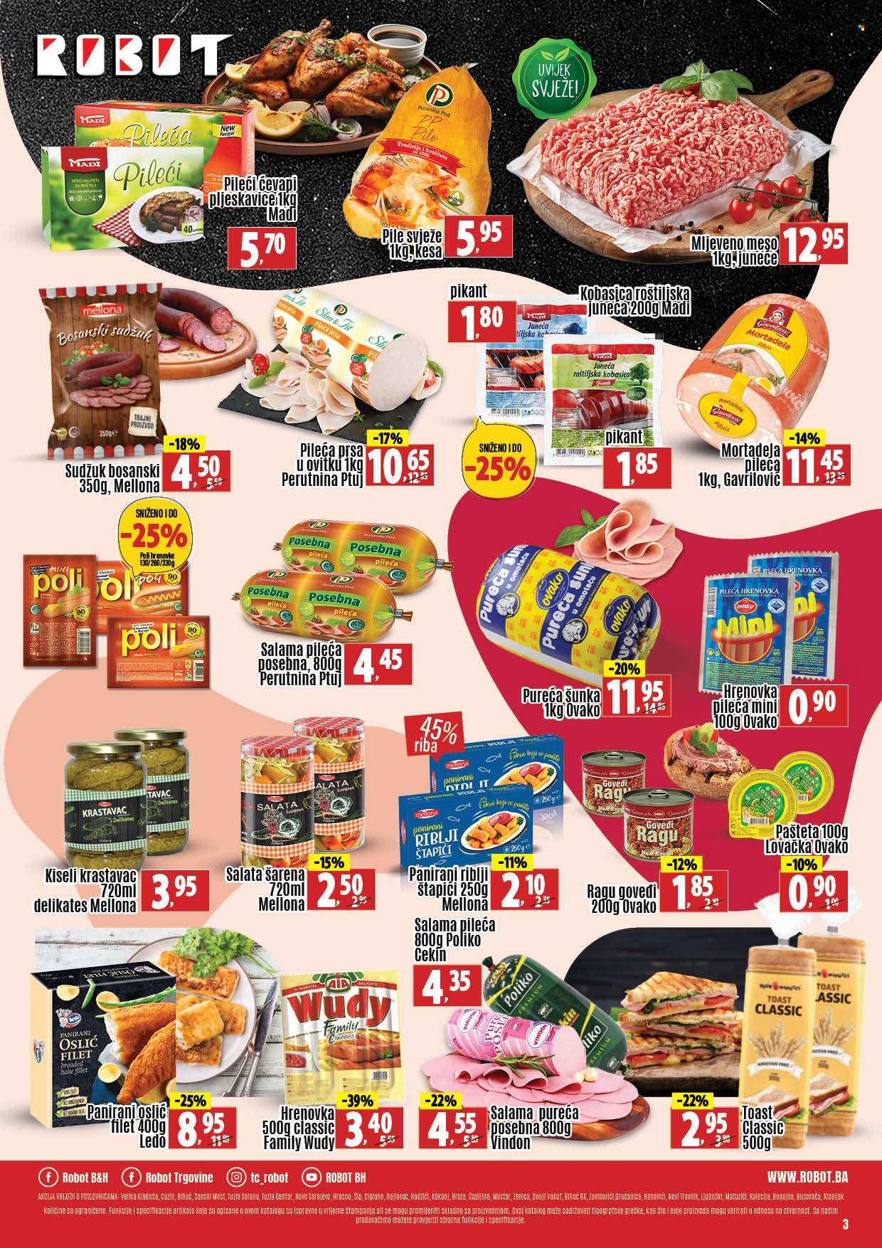 Robot katalog - 09.02.2024. - 29.02.2024.. Stranica 3