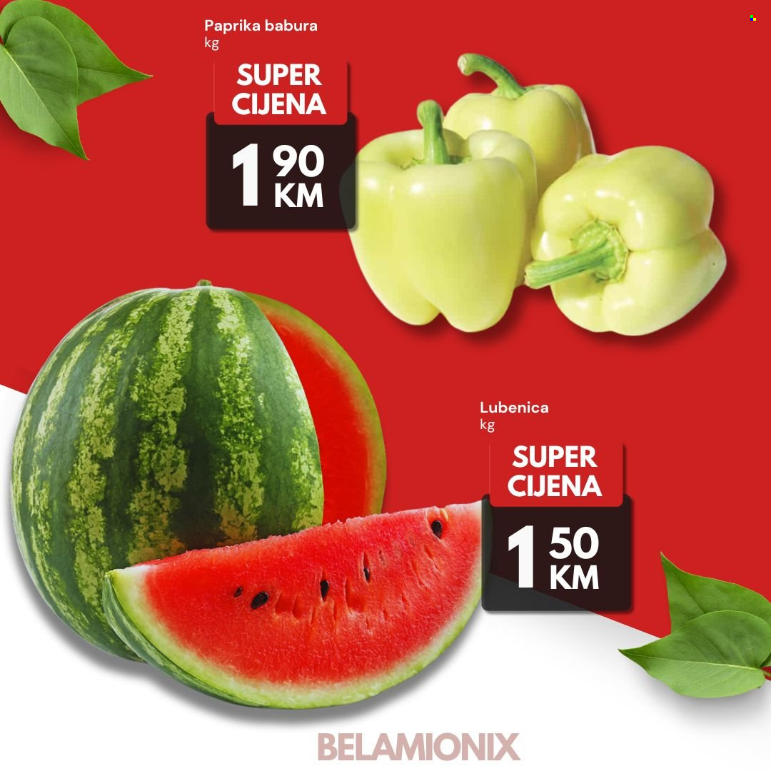 Belamionix katalog - 13.06.2024. - 16.06.2024.. Stranica 2