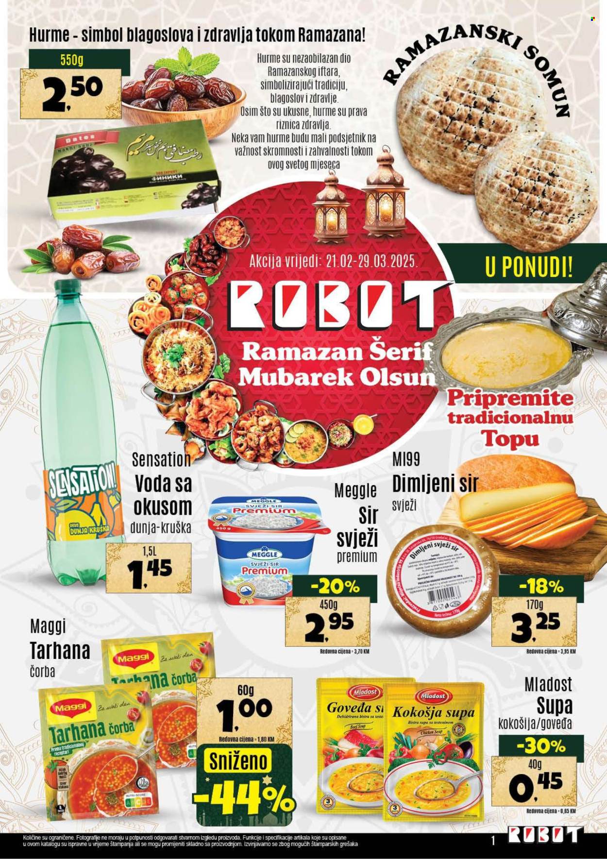 Robot katalog - 21.02.2025. - 29.03.2025.. Stranica 1