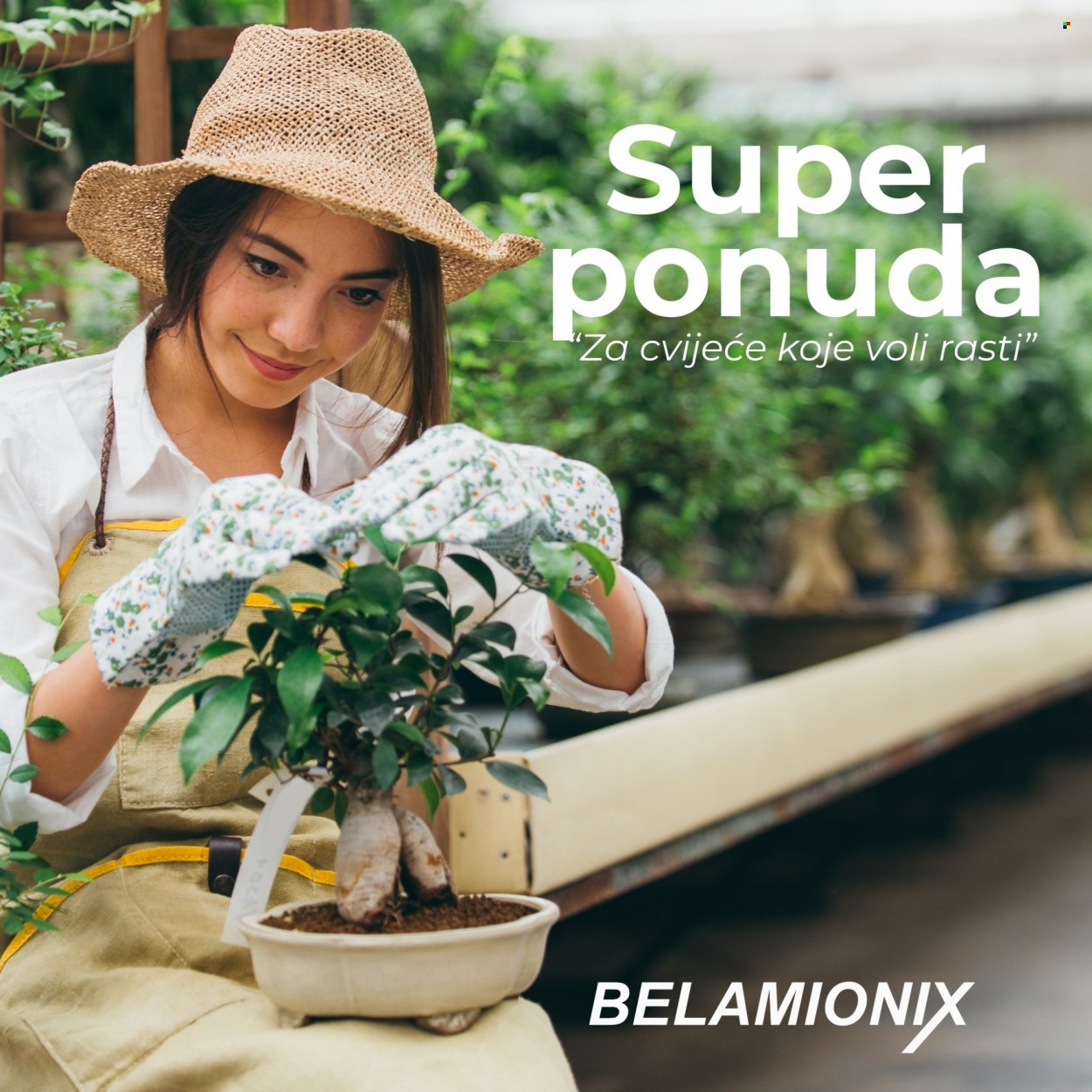 Belamionix katalog. Stranica 1