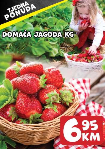 thumbnail - Domaća Jagoda