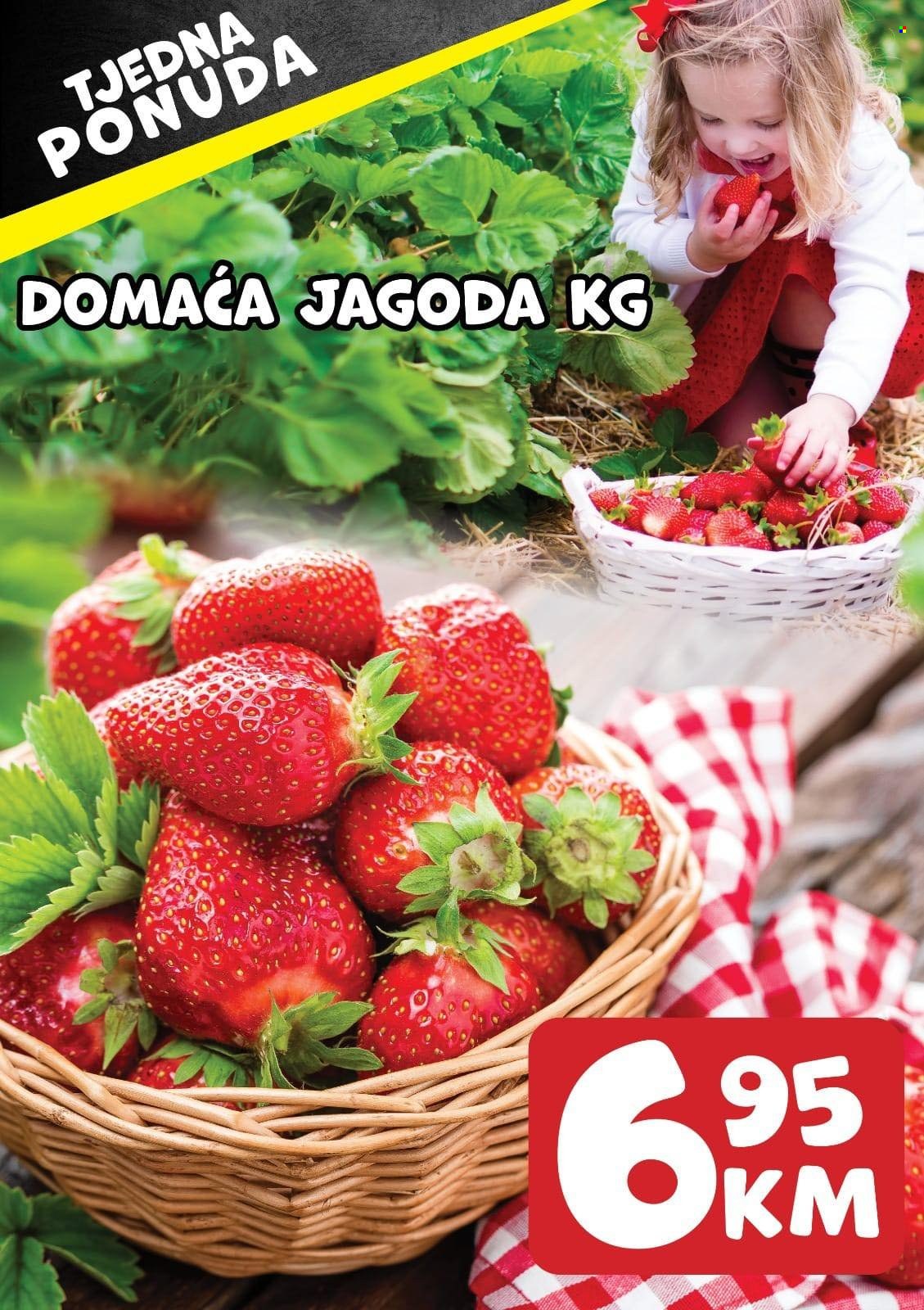 Prodex katalog. Stranica 1