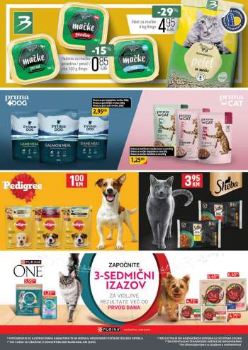 thumbnail - PEDIGREE
