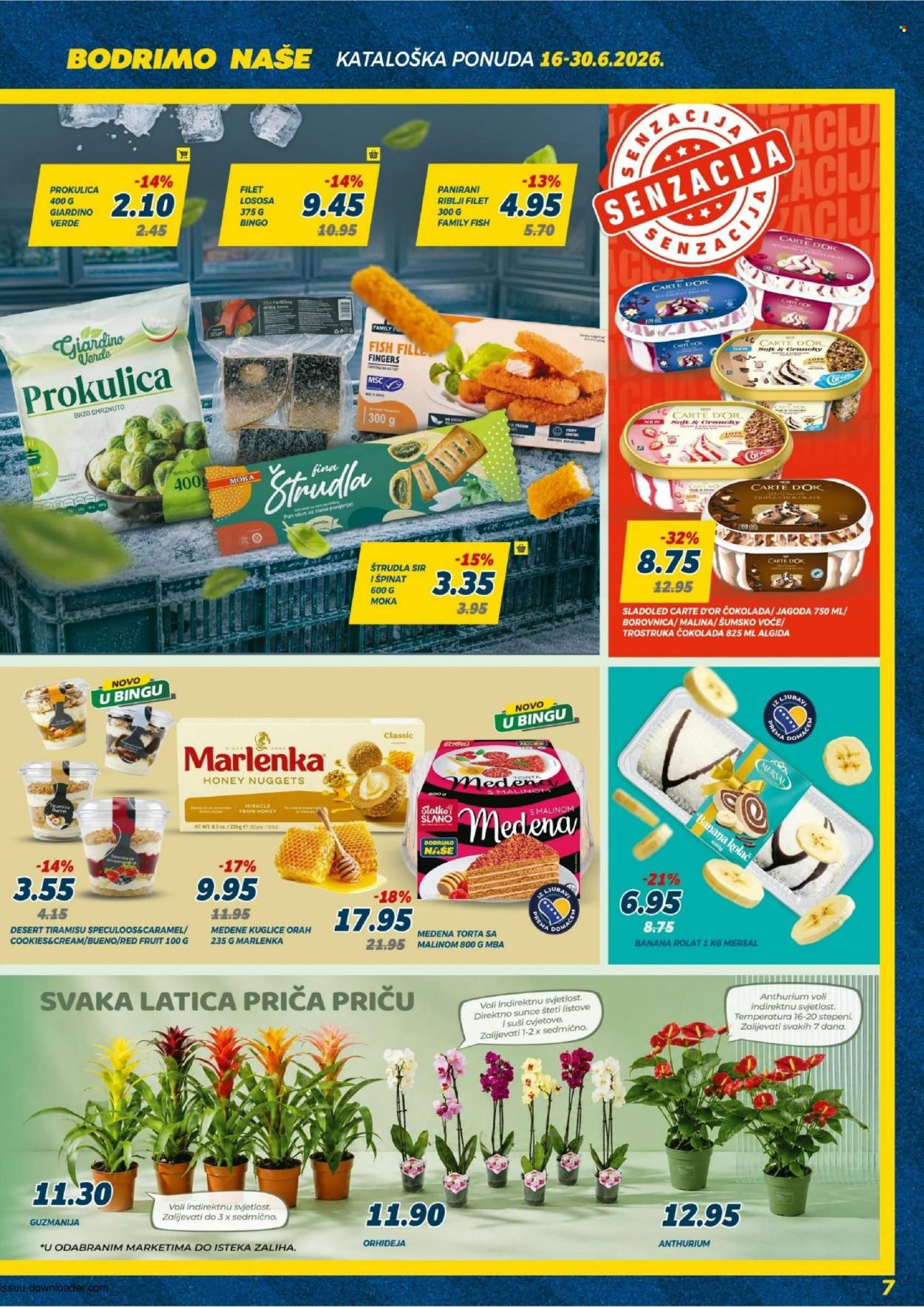 Bingo katalog - 16.06.2026. - 30.06.2026.. Stranica 7