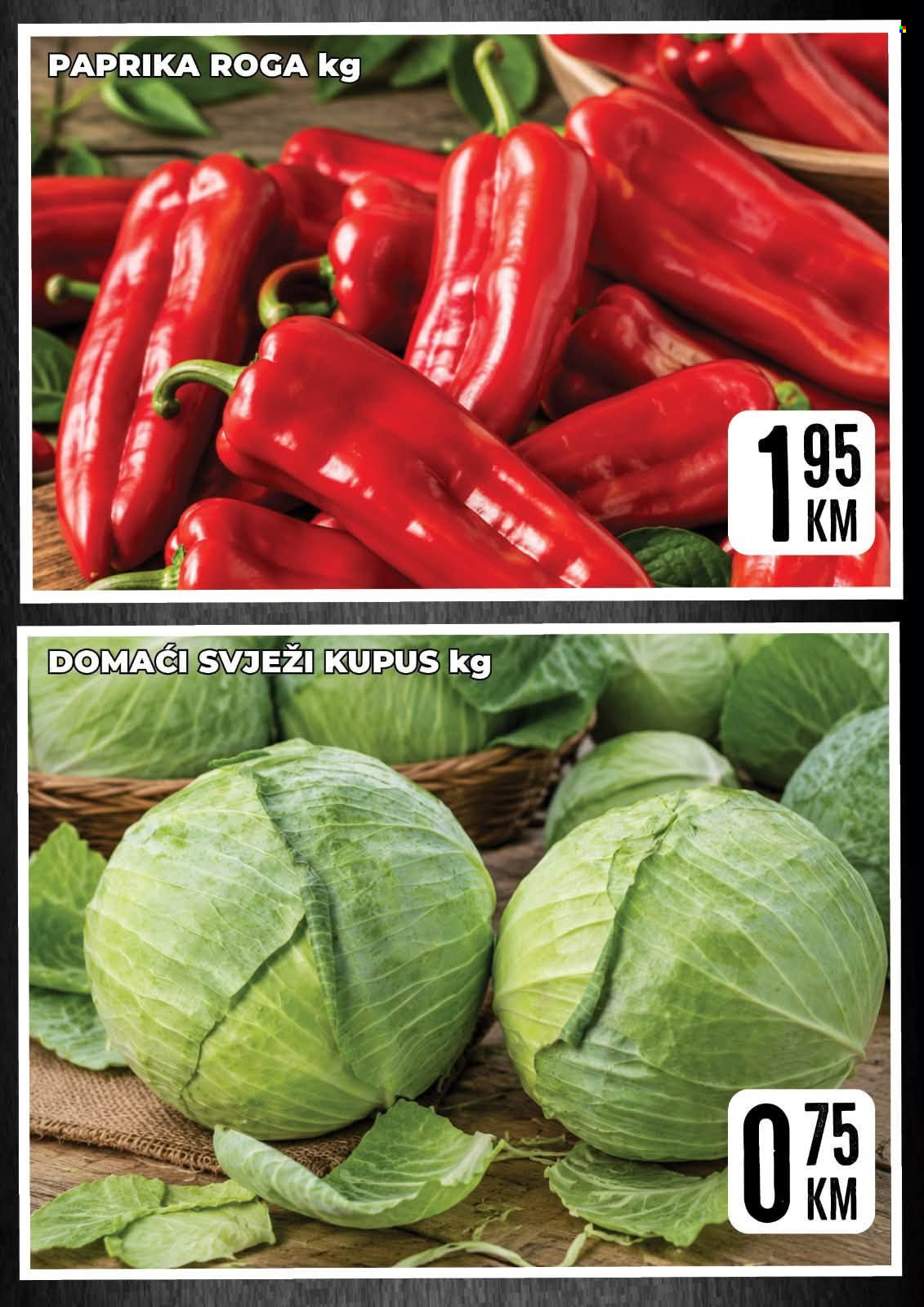 Prodex katalog - 11.09.2026. - 12.09.2026.. Stranica 3