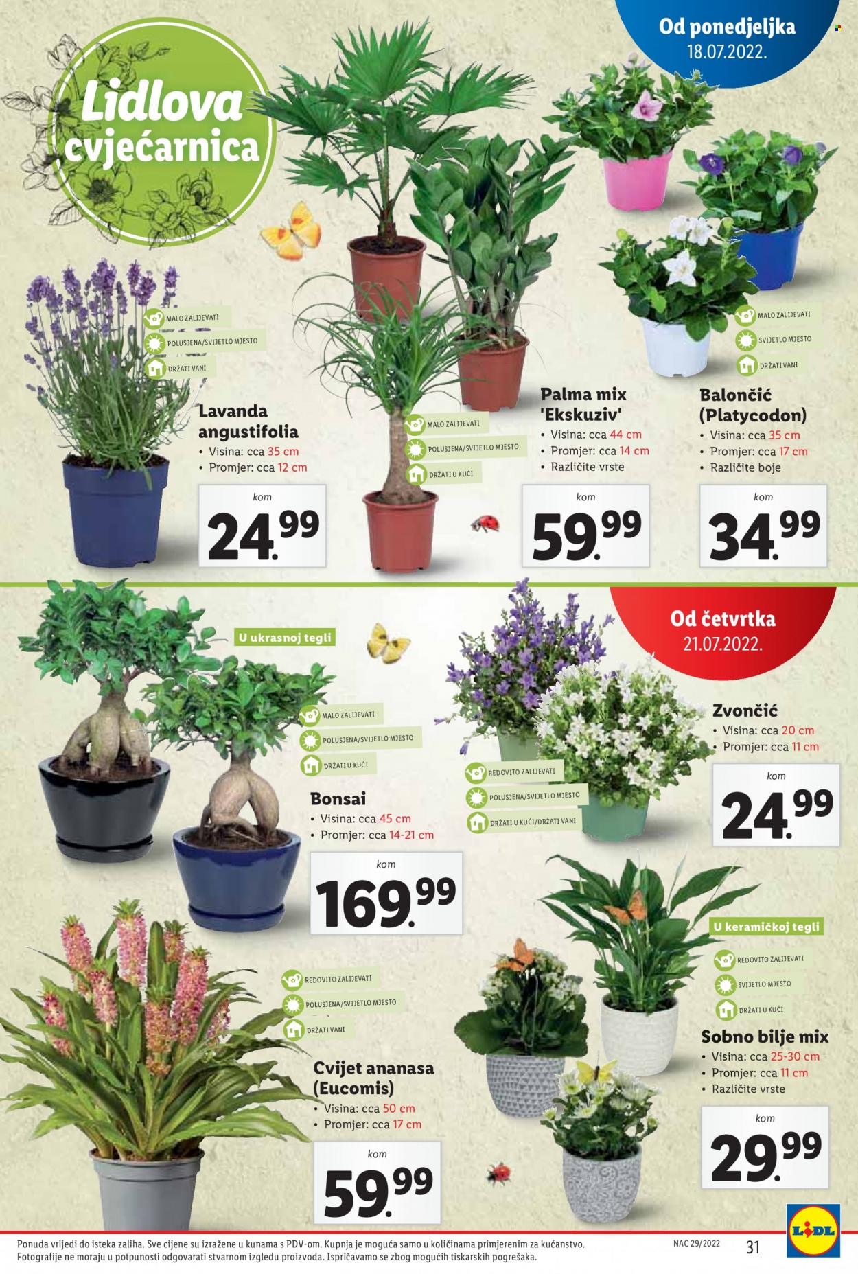 Lidl katalog - 18.07.2022. - 24.07.2022. Stranica 31