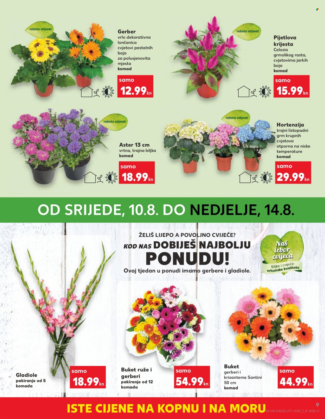 Kaufland katalog - 10.08.2022. - 16.08.2022. Stranica 9