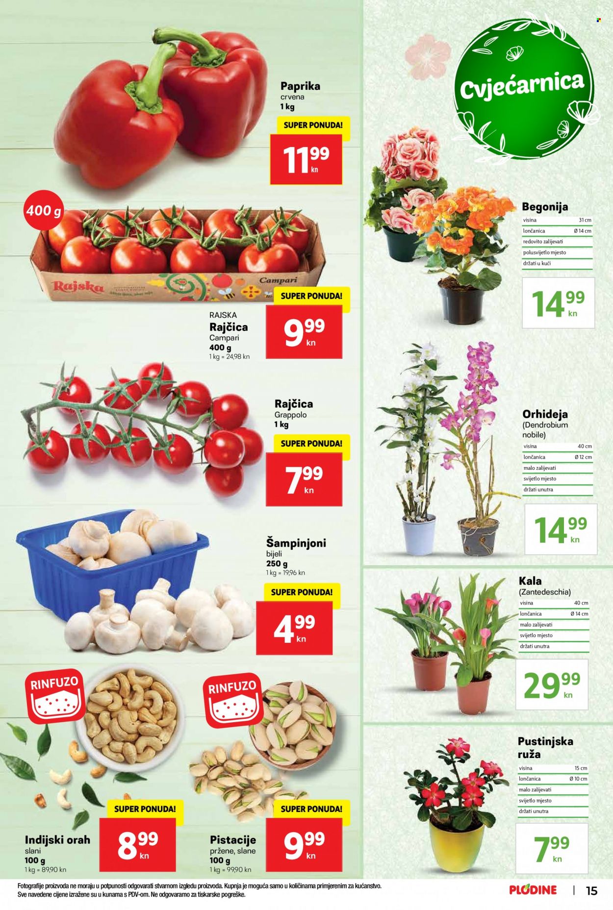 Plodine katalog - 10.08.2022. - 16.08.2022. Stranica 15