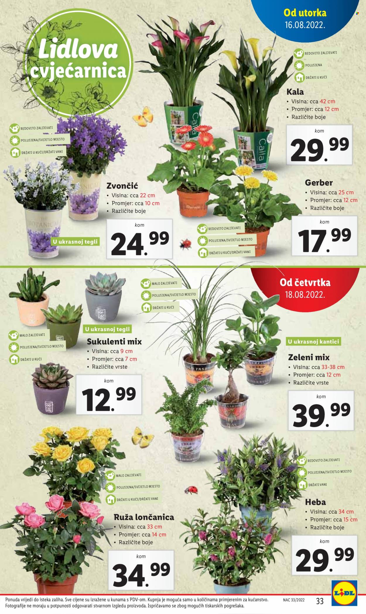 Lidl katalog - 16.08.2022. - 21.08.2022. Stranica 35