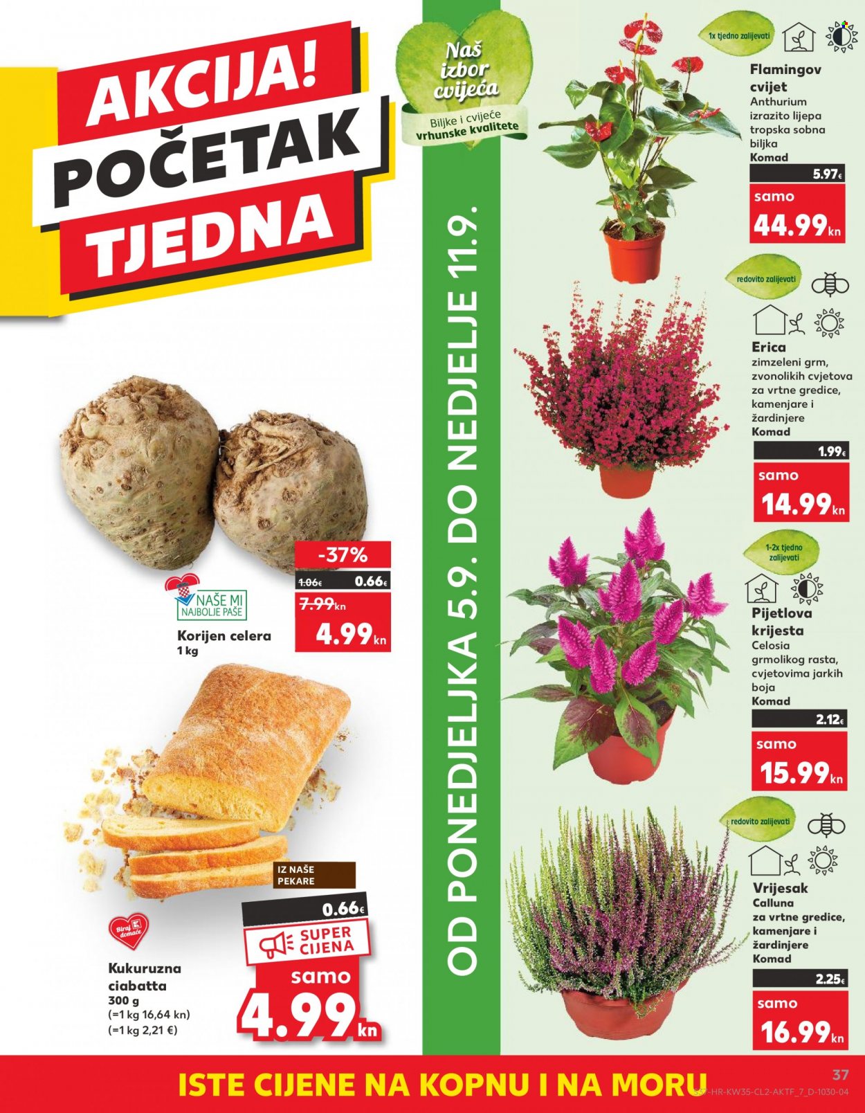 Kaufland katalog - 31.08.2022. - 06.09.2022. Stranica 37