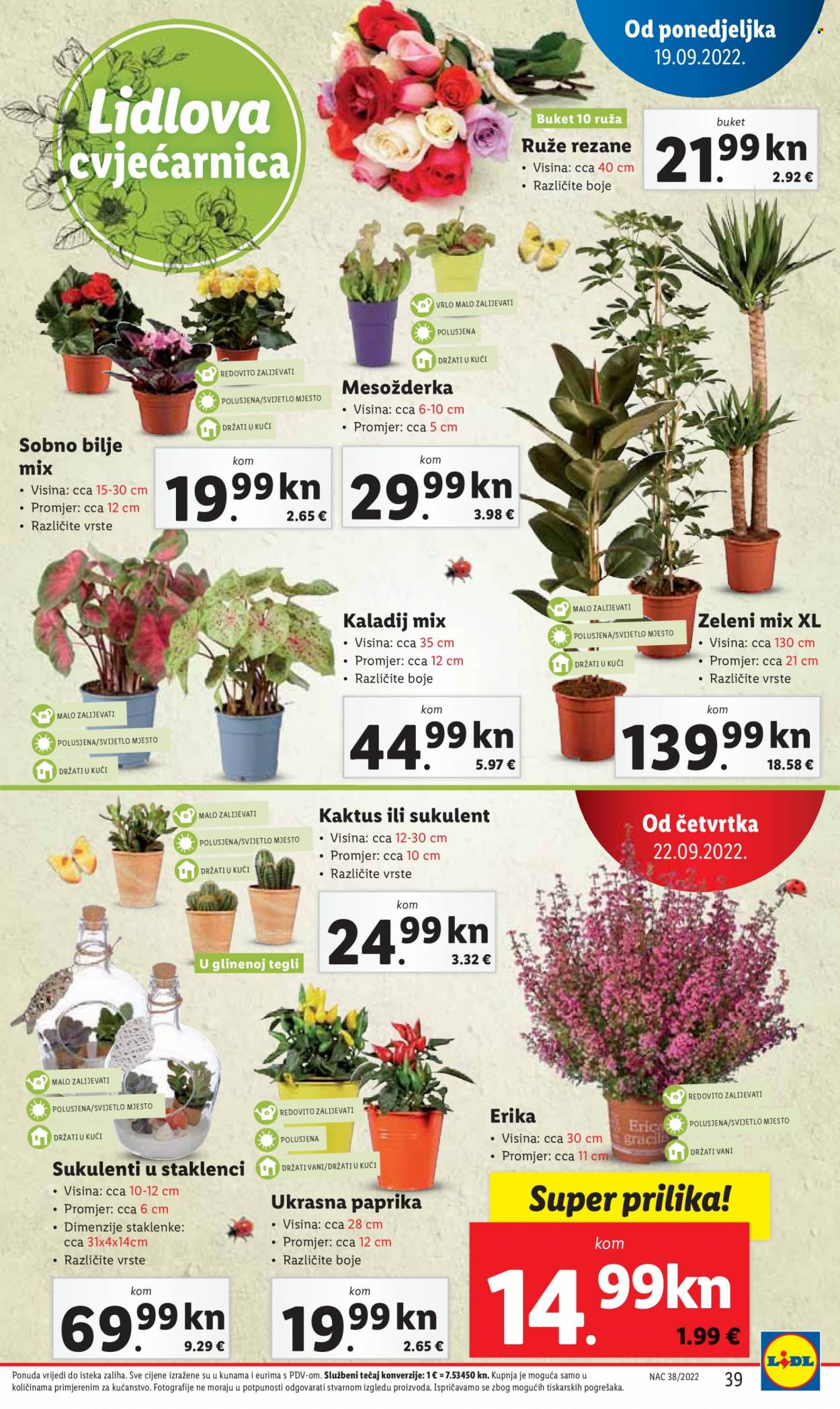 Lidl katalog - 19.09.2022. - 25.09.2022. Stranica 39