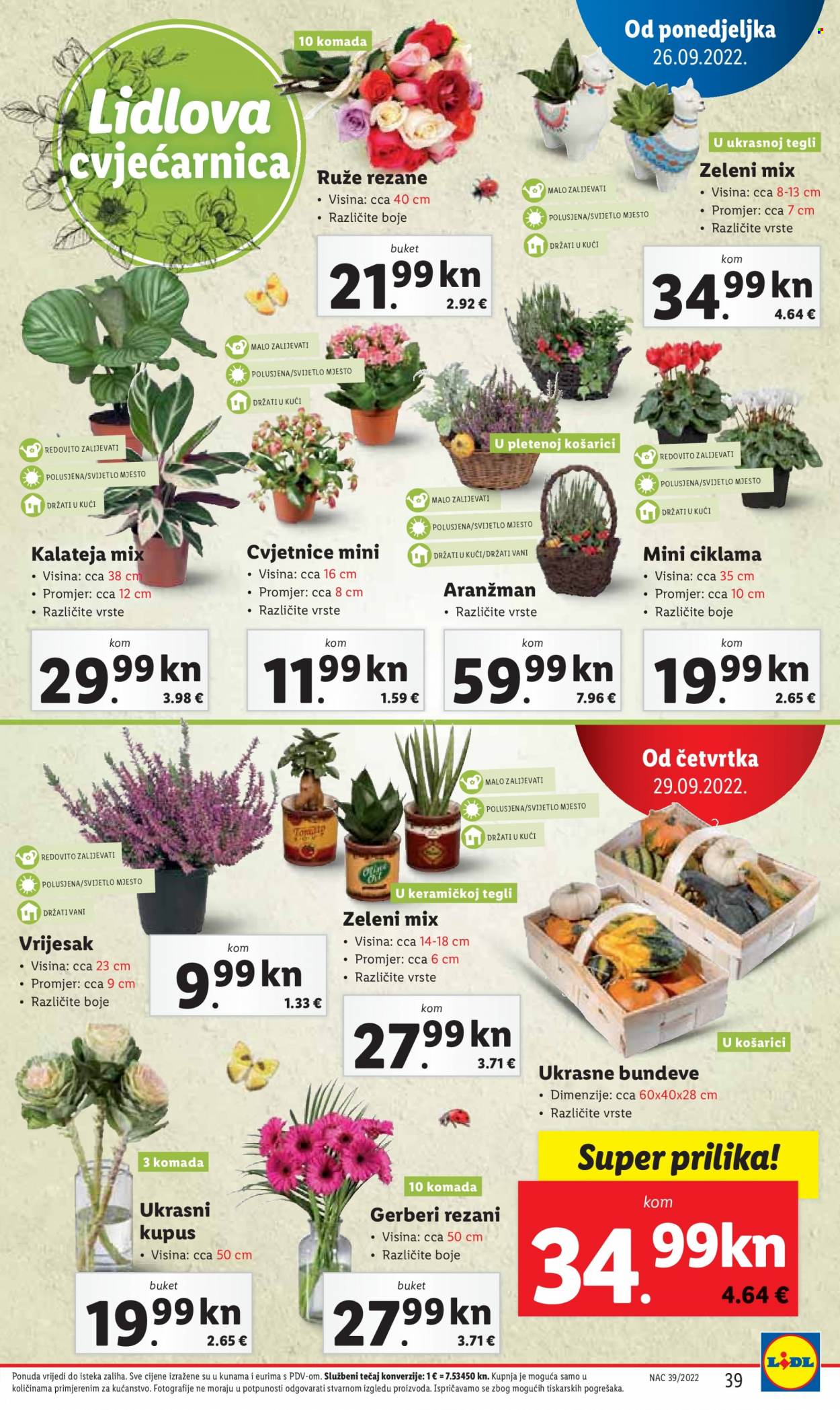 Lidl katalog - 26.09.2022. - 02.10.2022. Stranica 41