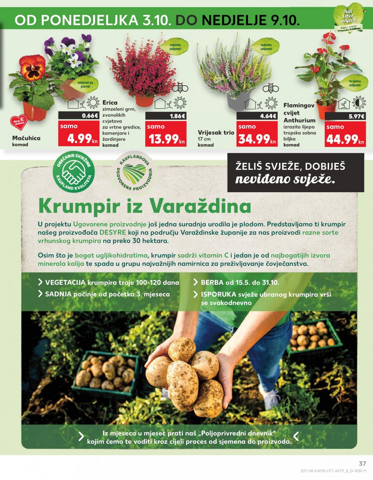 Kaufland katalog - 28.09.2022. - 04.10.2022. Stranica 37