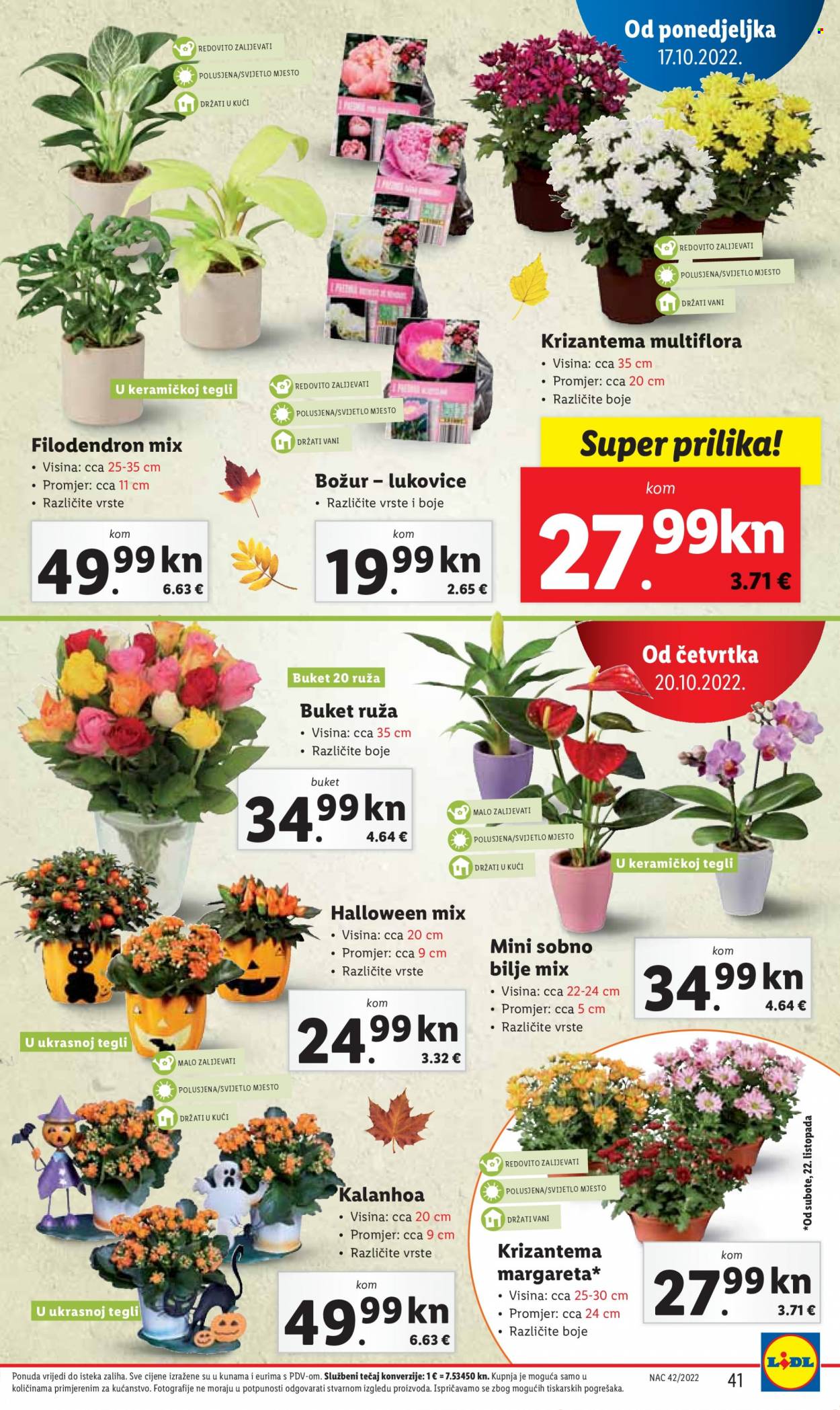 Lidl katalog - 17.10.2022. - 23.10.2022. Stranica 41