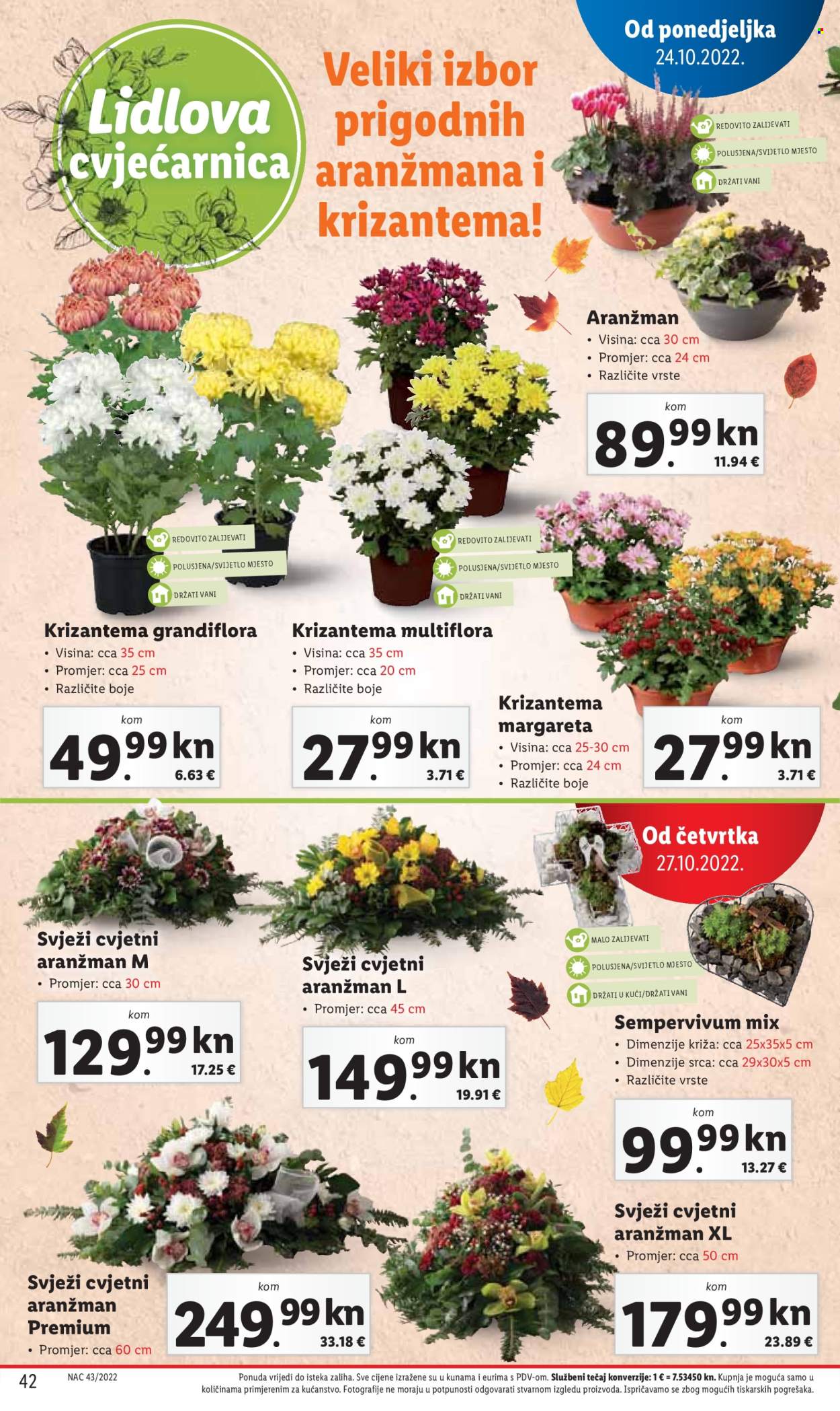Lidl katalog - 24.10.2022. - 30.10.2022. Stranica 42