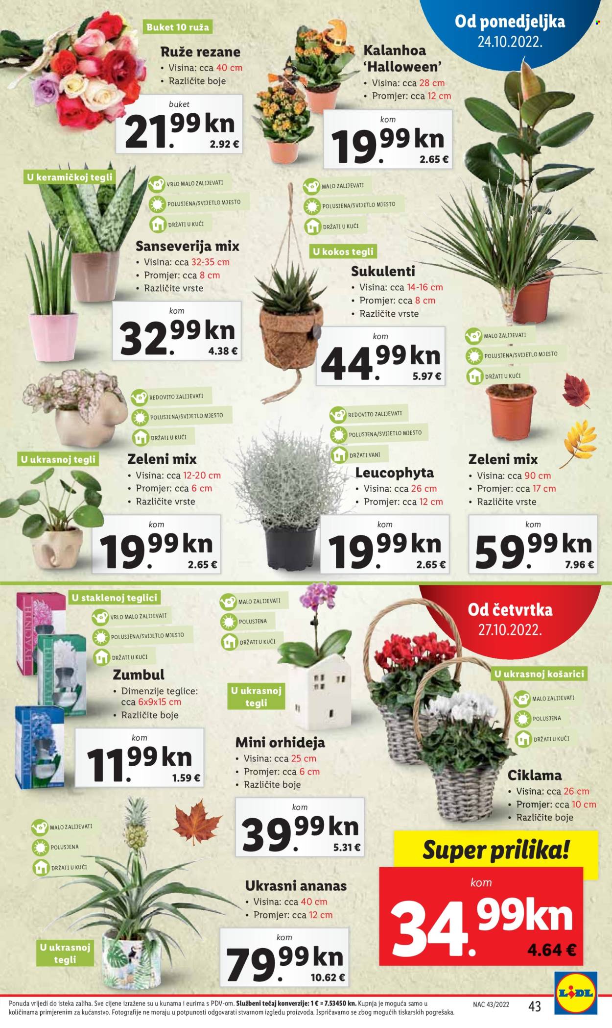 Lidl katalog - 24.10.2022. - 30.10.2022. Stranica 43