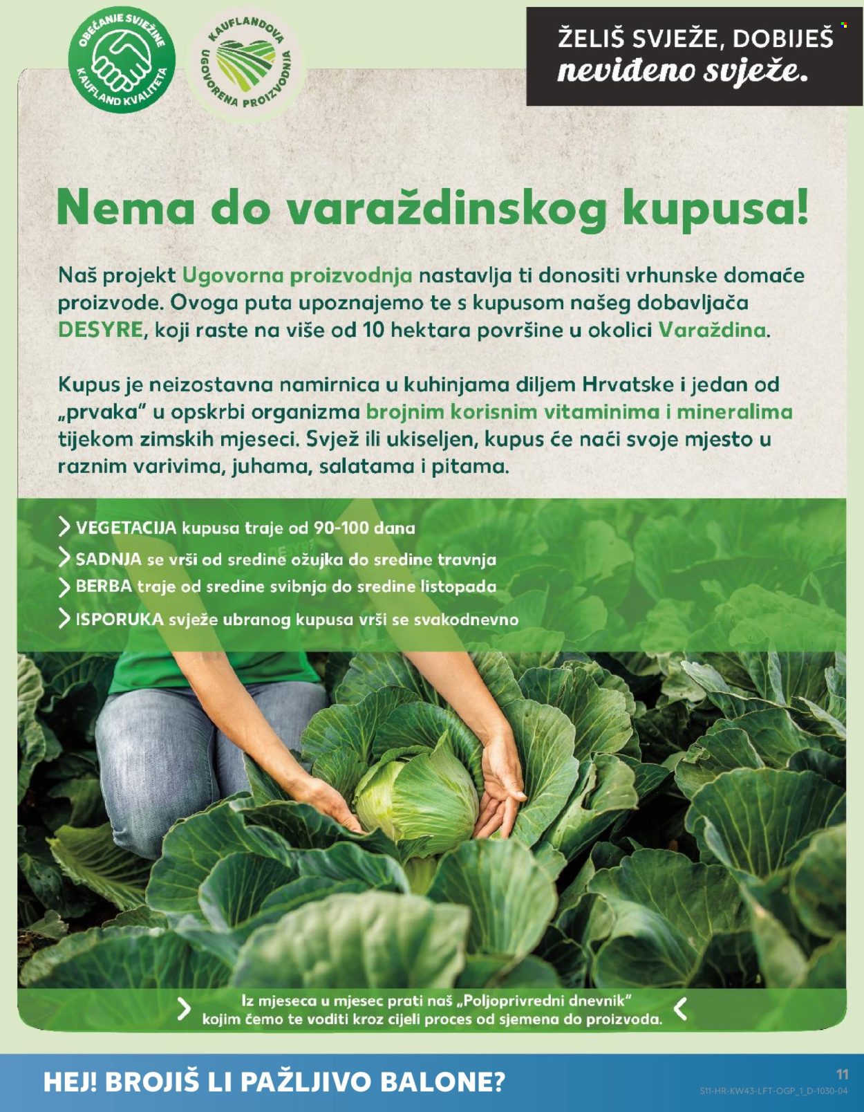 Kaufland katalog - 26.10.2022. - 01.11.2022. Stranica 11