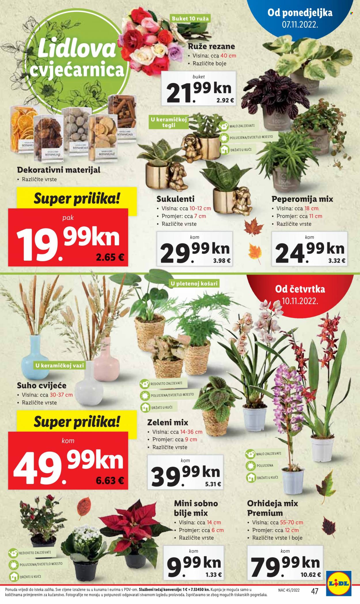 Lidl katalog - 07.11.2022. - 13.11.2022. Stranica 47