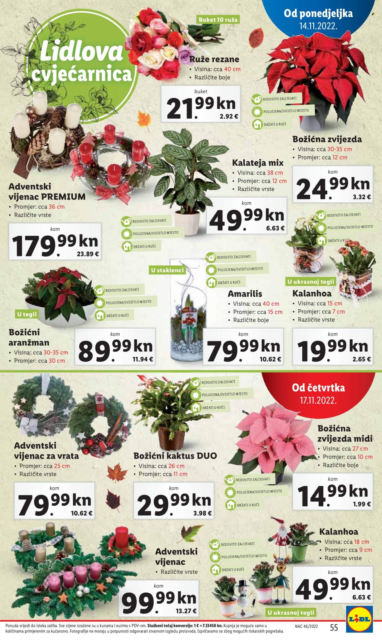 Lidl katalog - 14.11.2022. - 20.11.2022. Stranica 55