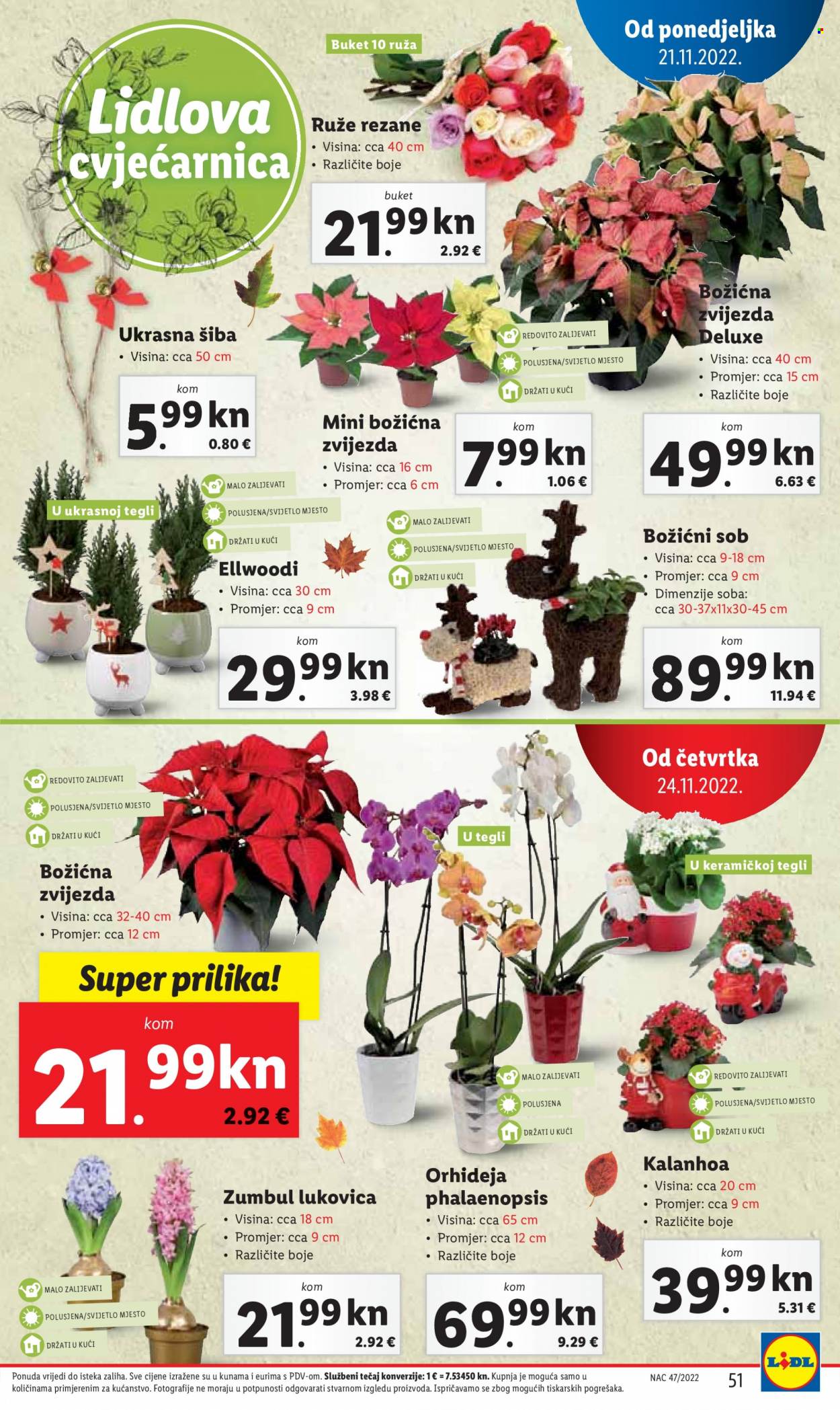 Lidl katalog - 21.11.2022. - 27.11.2022. Stranica 51