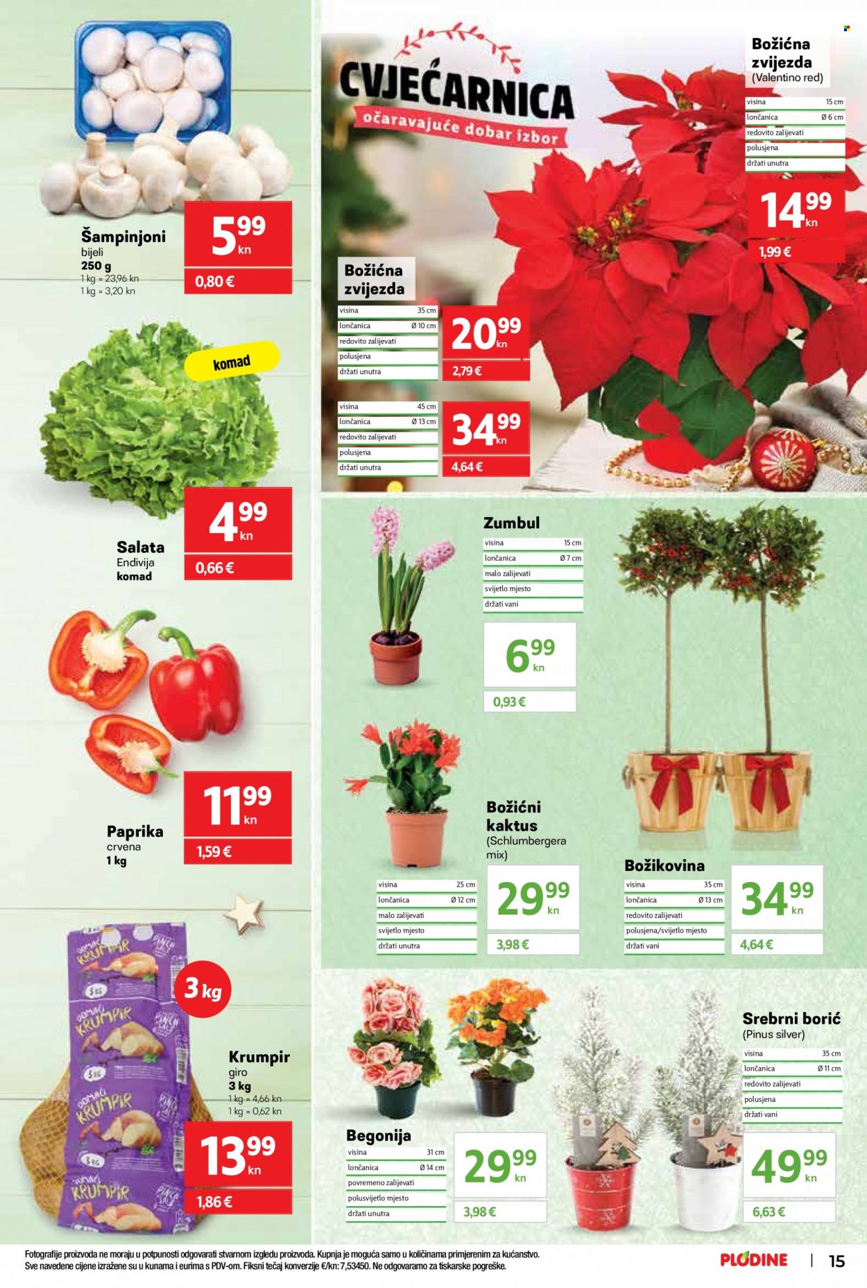 Plodine katalog - 23.11.2022. - 29.11.2022. Stranica 15