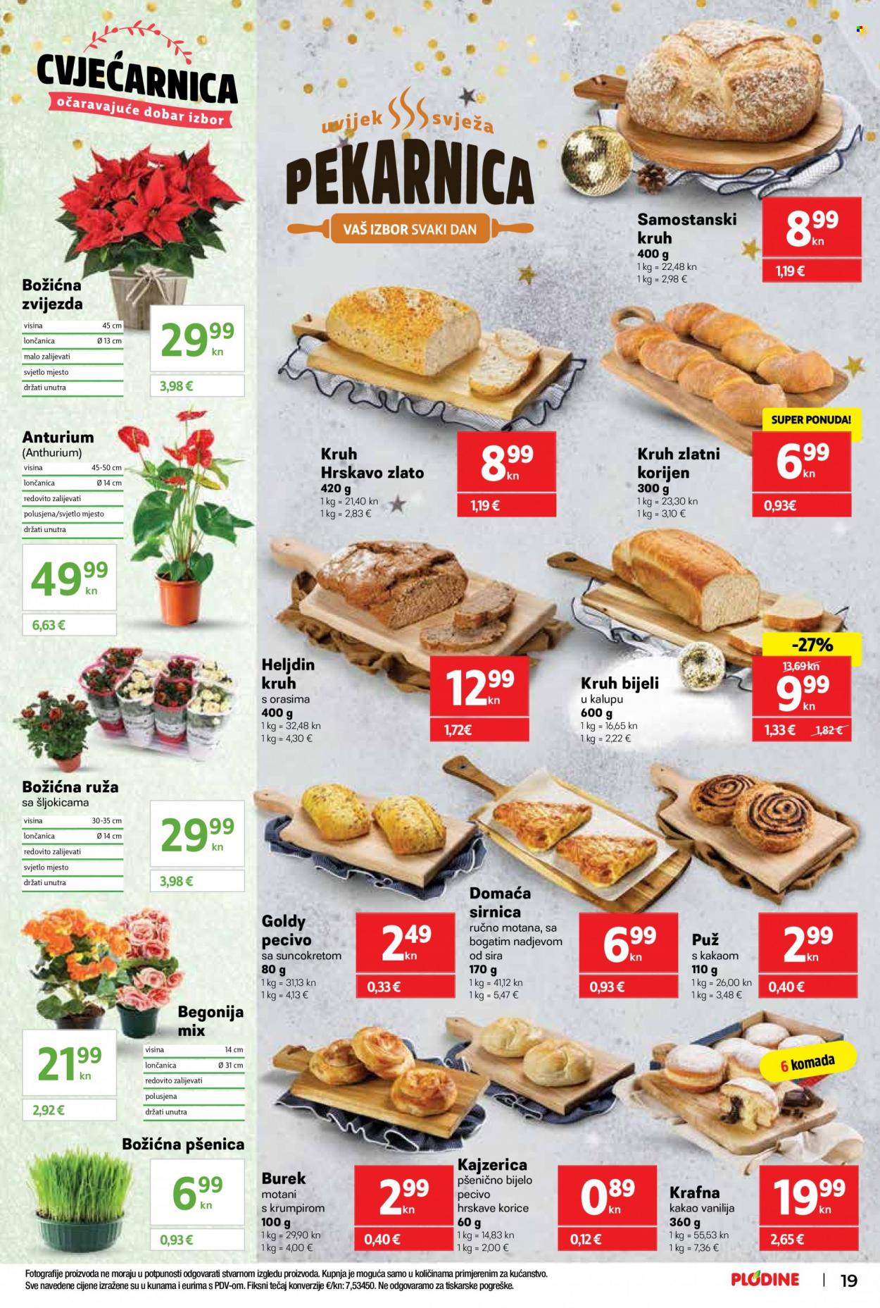 Plodine katalog - 21.12.2022. - 27.12.2022. Stranica 19