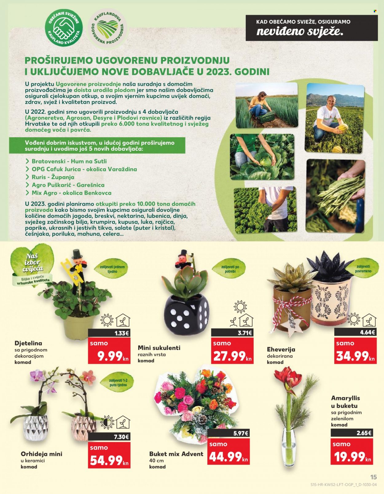 Kaufland katalog - 28.12.2022. - 31.12.2022. Stranica 15