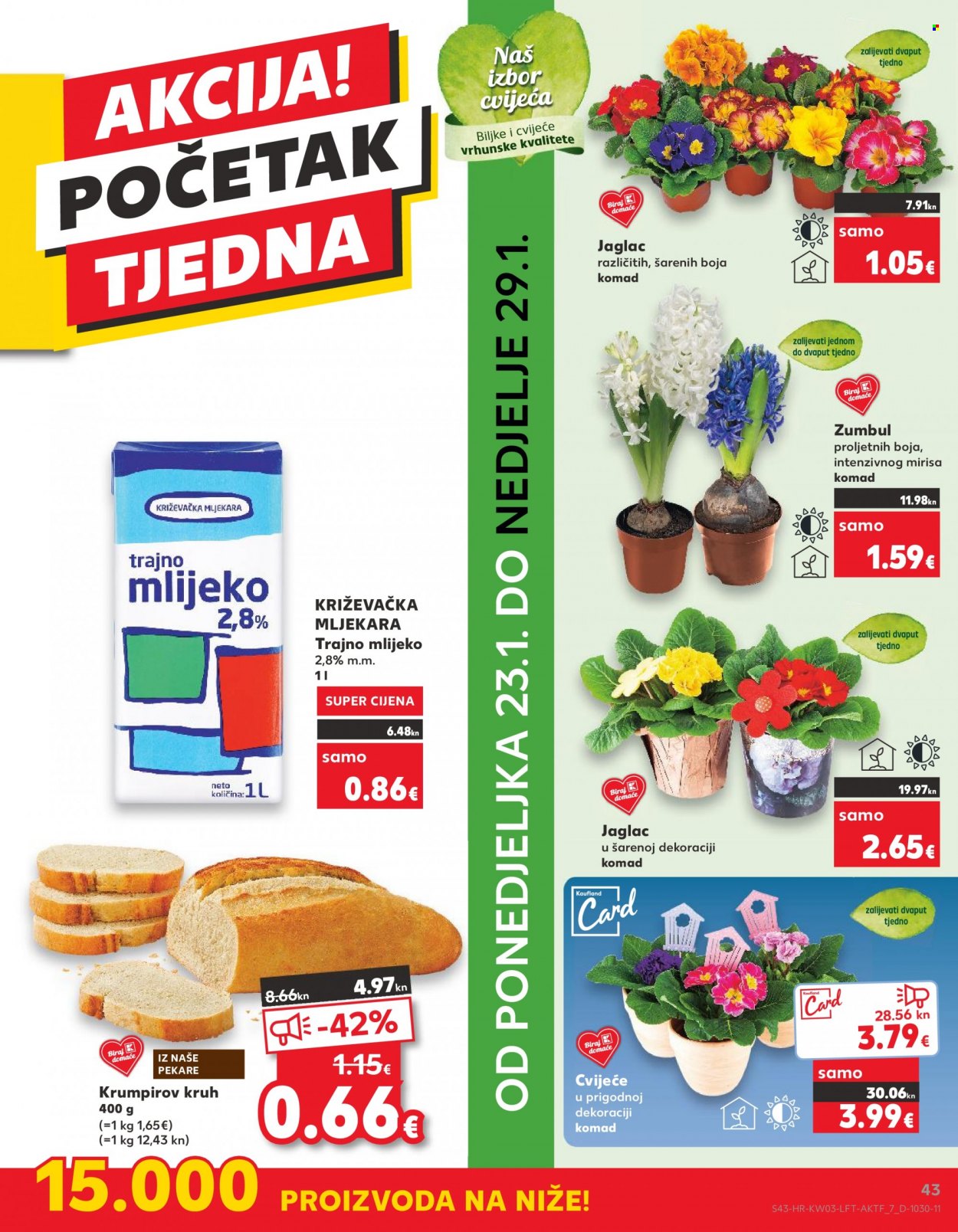 Kaufland katalog - 18.01.2023. - 24.01.2023. Stranica 43