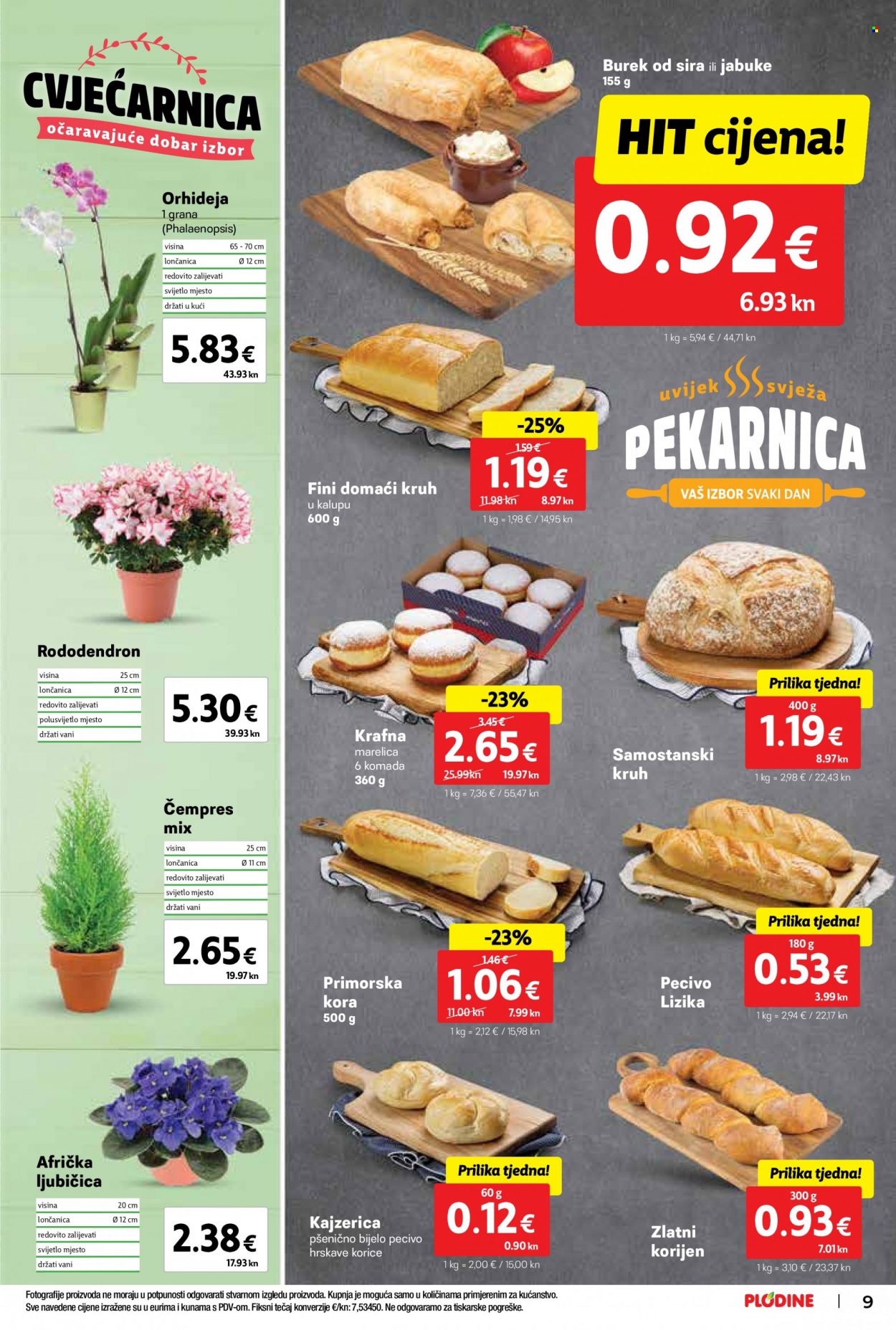 Plodine katalog - 18.01.2023. - 24.01.2023. Stranica 9