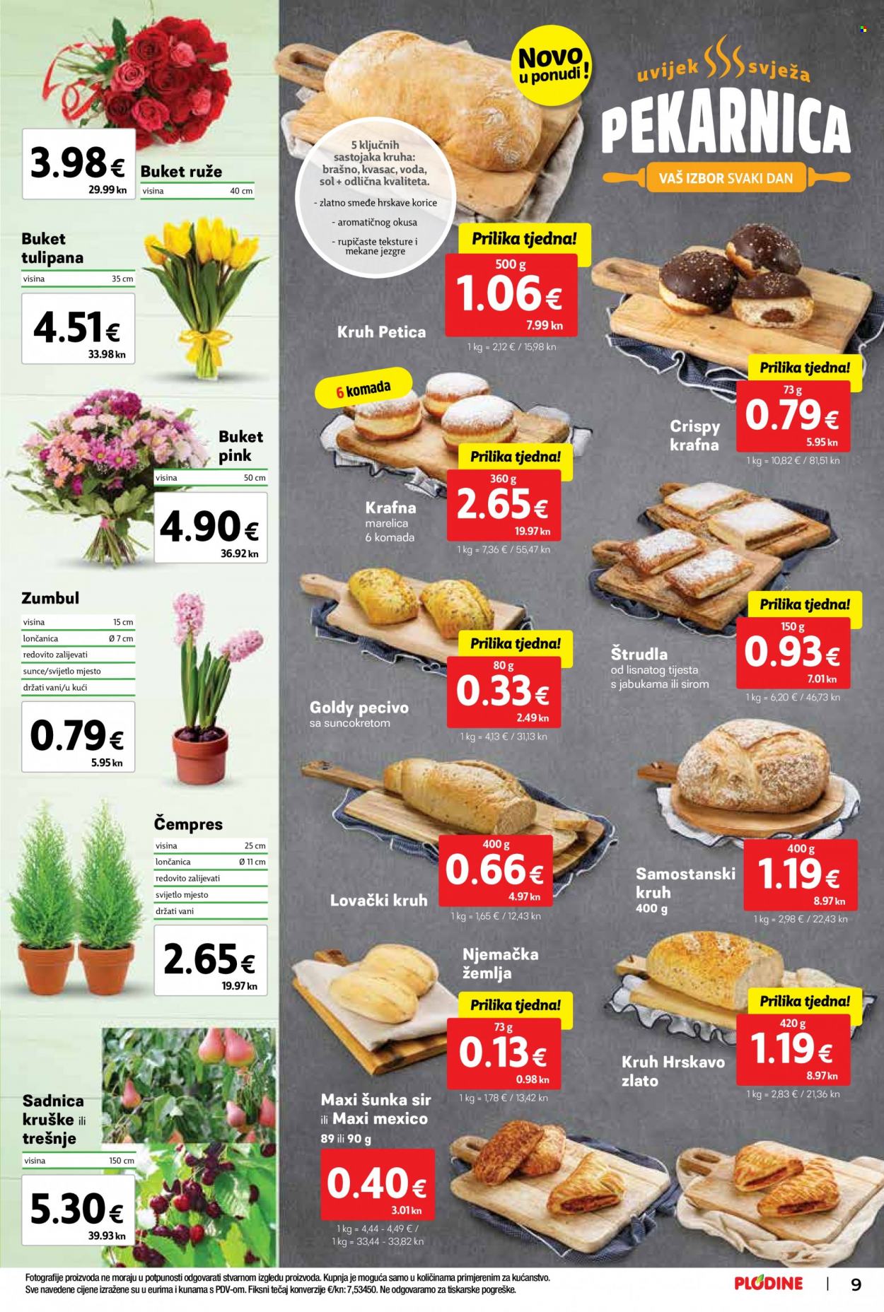 Plodine katalog - 01.02.2023. - 07.02.2023. Stranica 9