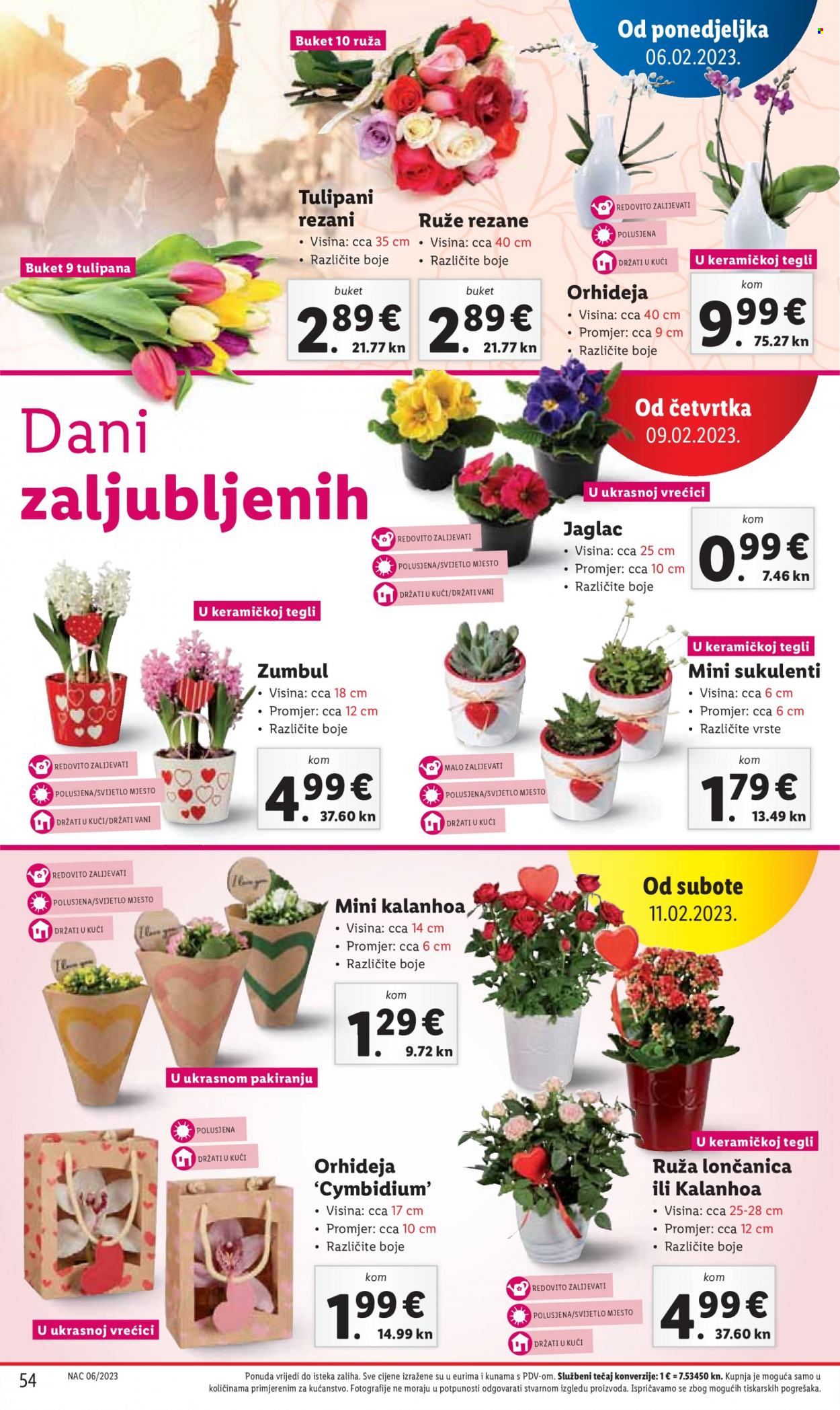 Lidl katalog - 06.02.2023. - 12.02.2023. Stranica 54