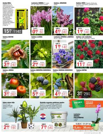 {store} katalog
