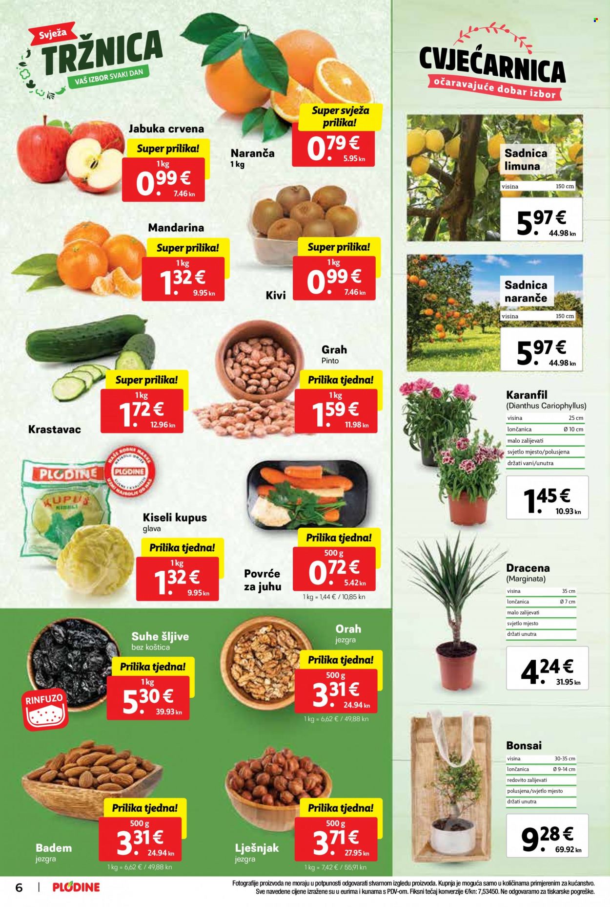 Plodine katalog - 22.02.2023. - 28.02.2023. Stranica 6