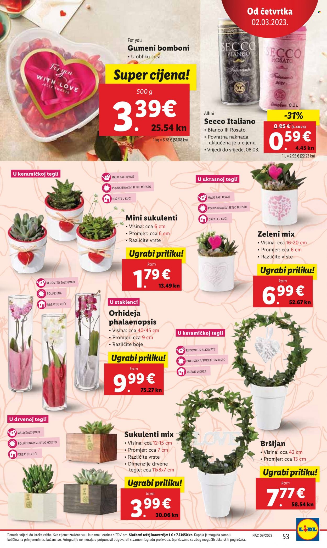 Lidl katalog - 27.02.2023. - 05.03.2023. Stranica 53