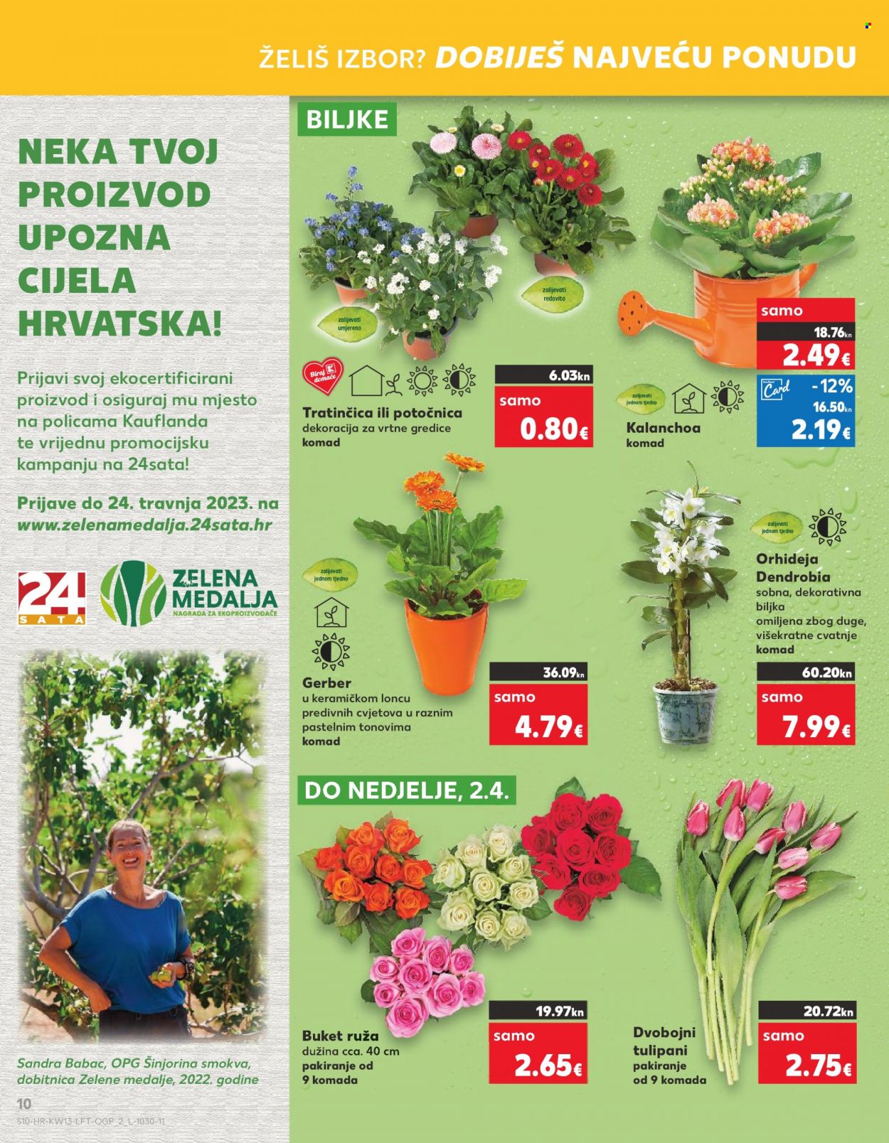thumbnail - Kaufland katalog - 29.03.2023. - 04.04.2023. - Sniženi proizvodi - kalanhoa, gerber, cvijeće, orhideja, buket, ruža, tulipan. Stranica 10.