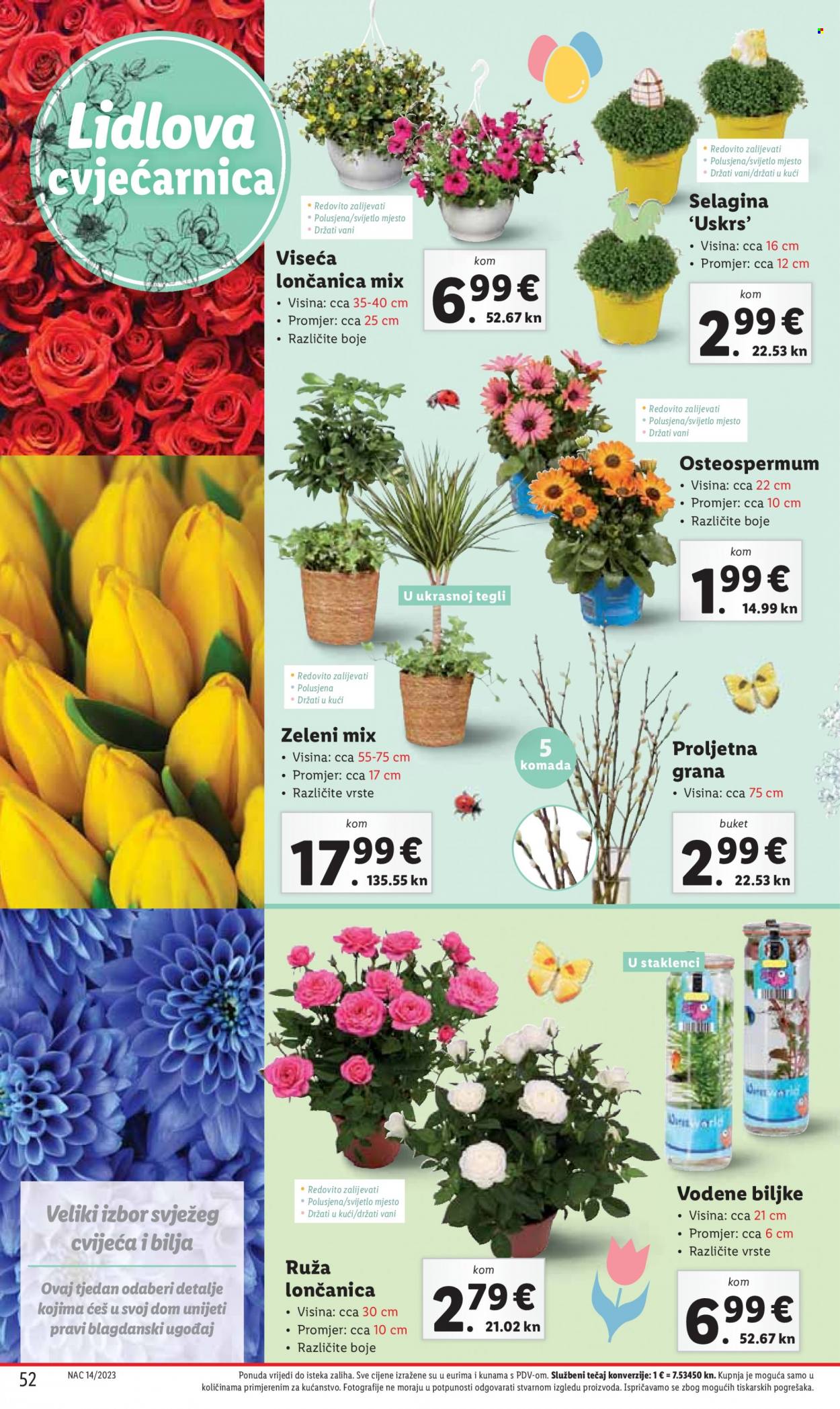 Lidl katalog - 03.04.2023. - 08.04.2023. Stranica 52
