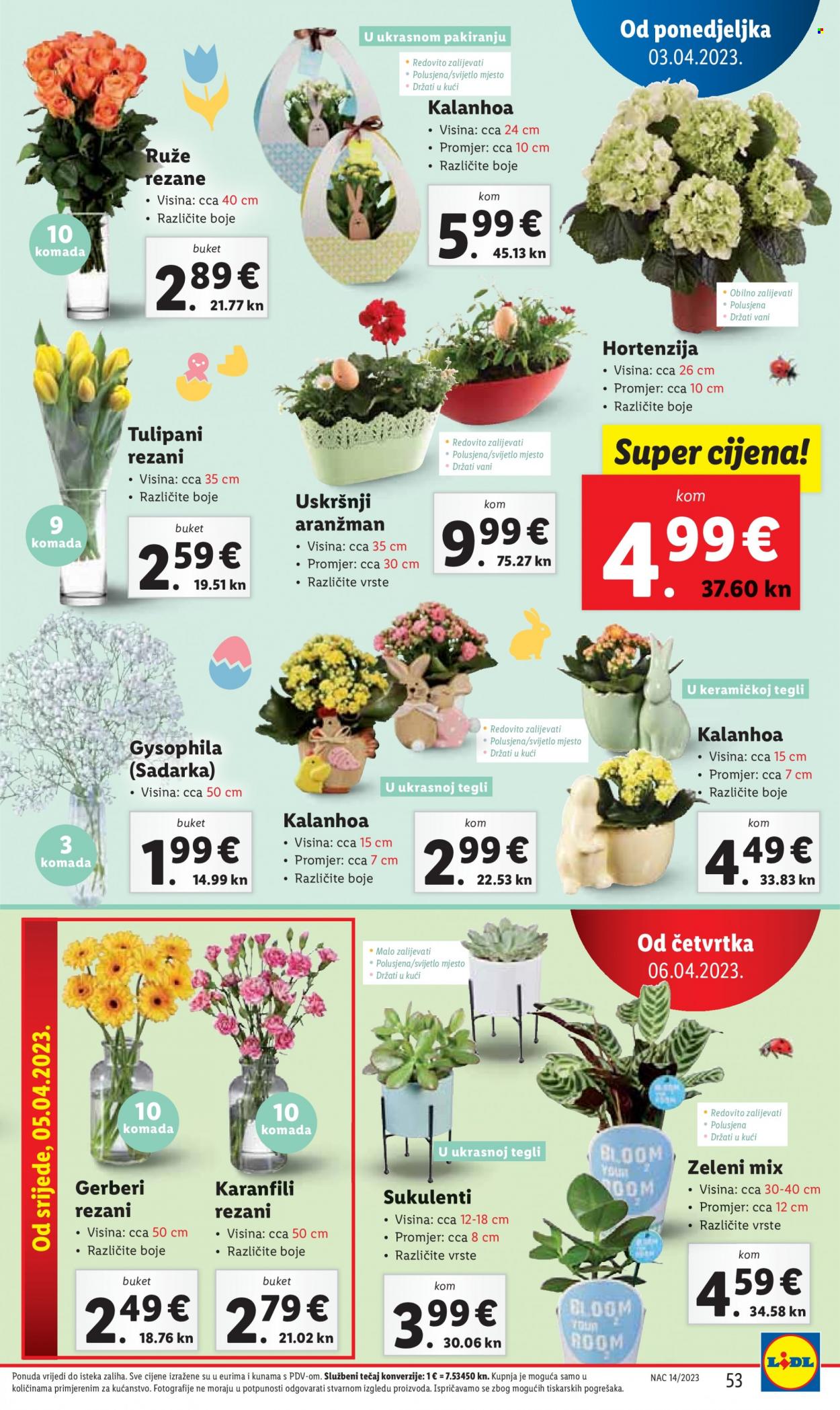 Lidl katalog - 03.04.2023. - 08.04.2023. Stranica 53