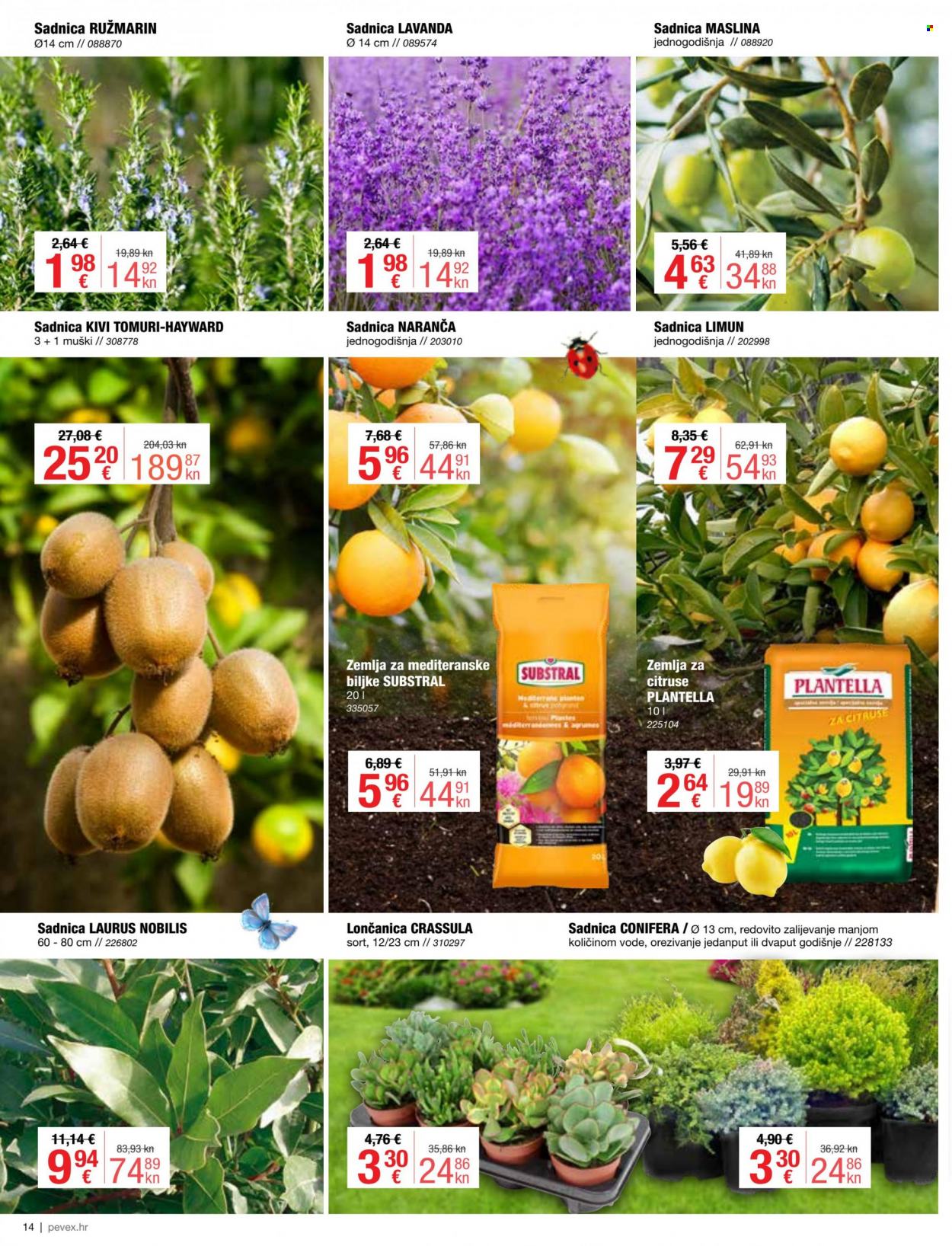Pevex katalog - 30.03.2023. - 25.04.2023. Stranica 14
