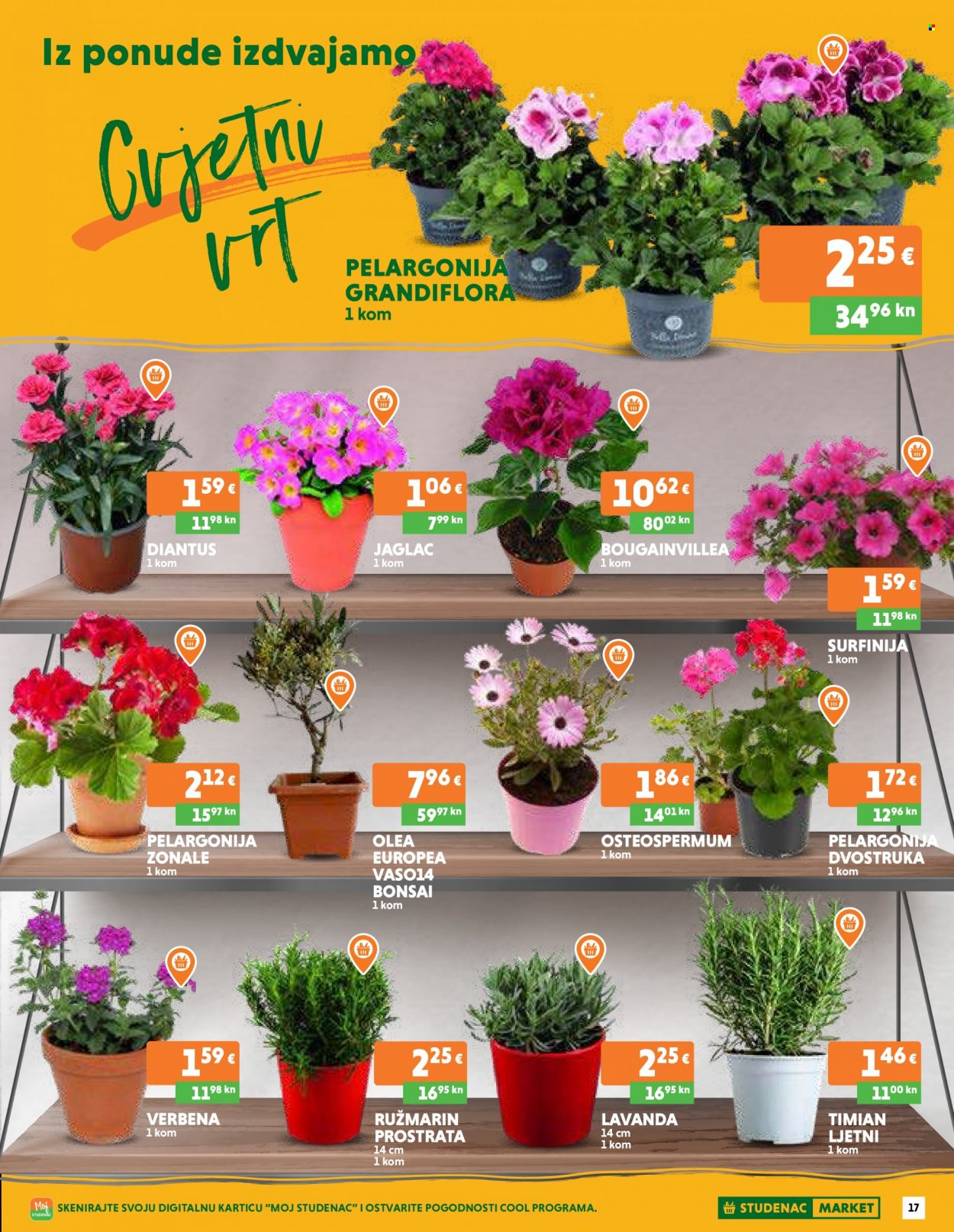 Studenac katalog - 06.04.2023. - 12.04.2023. Stranica 17