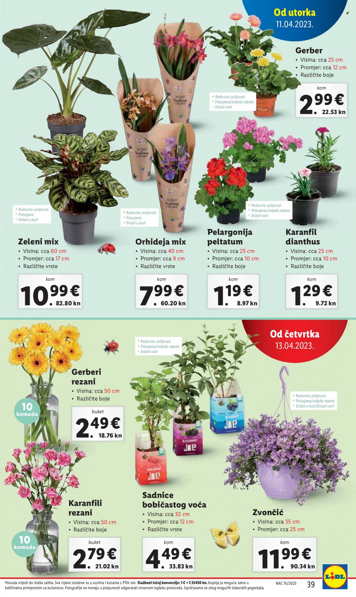 Lidl katalog - 11.04.2023. - 16.04.2023. Stranica 39