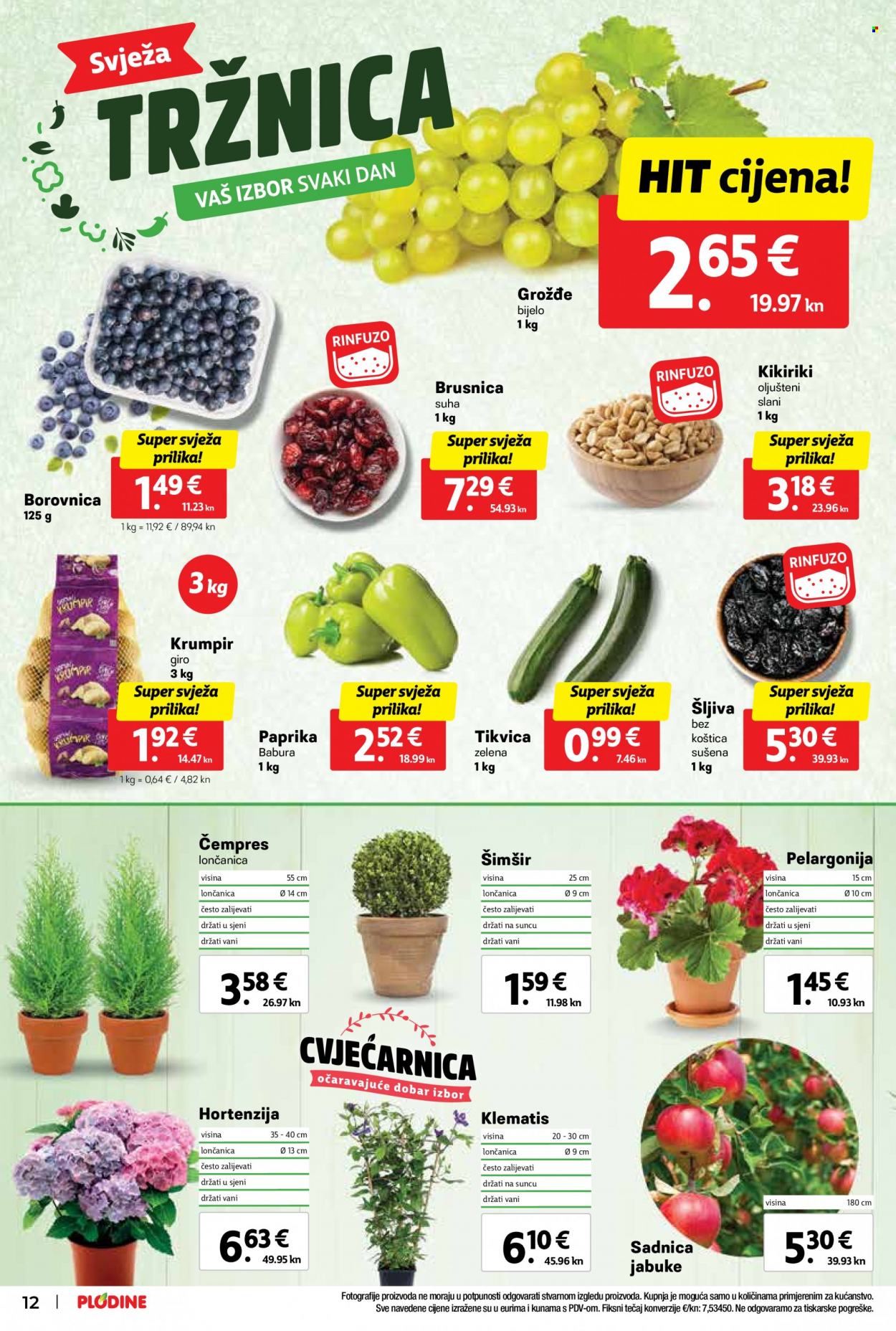 Plodine katalog - 12.04.2023. - 18.04.2023. Stranica 12